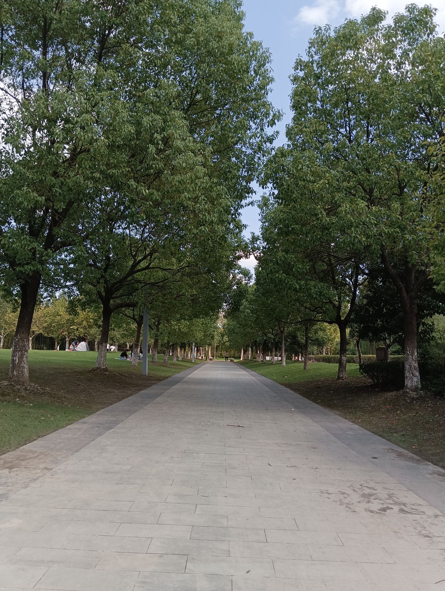 潜龙渠公园旅行图片 2