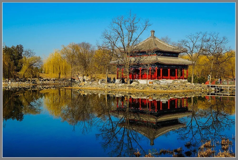 迎春公园旅行图片 2