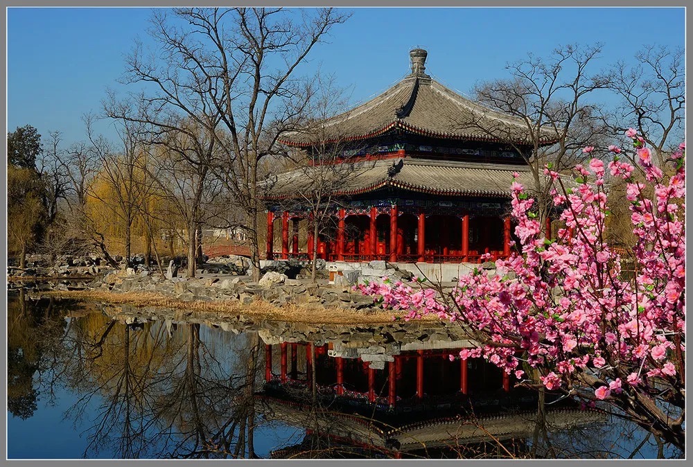 迎春公园旅行图片 3