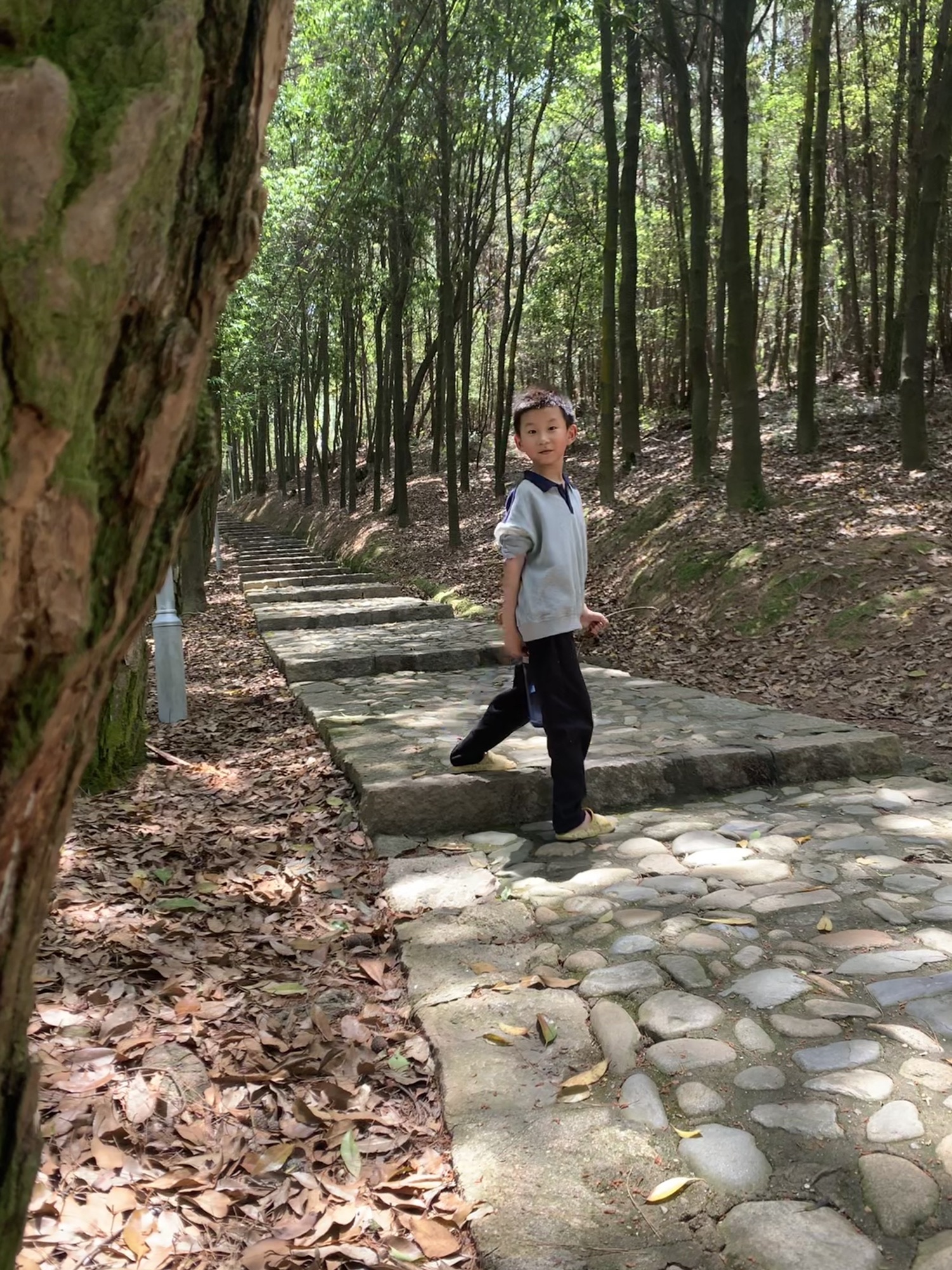 梅城森林公园旅行图片 2