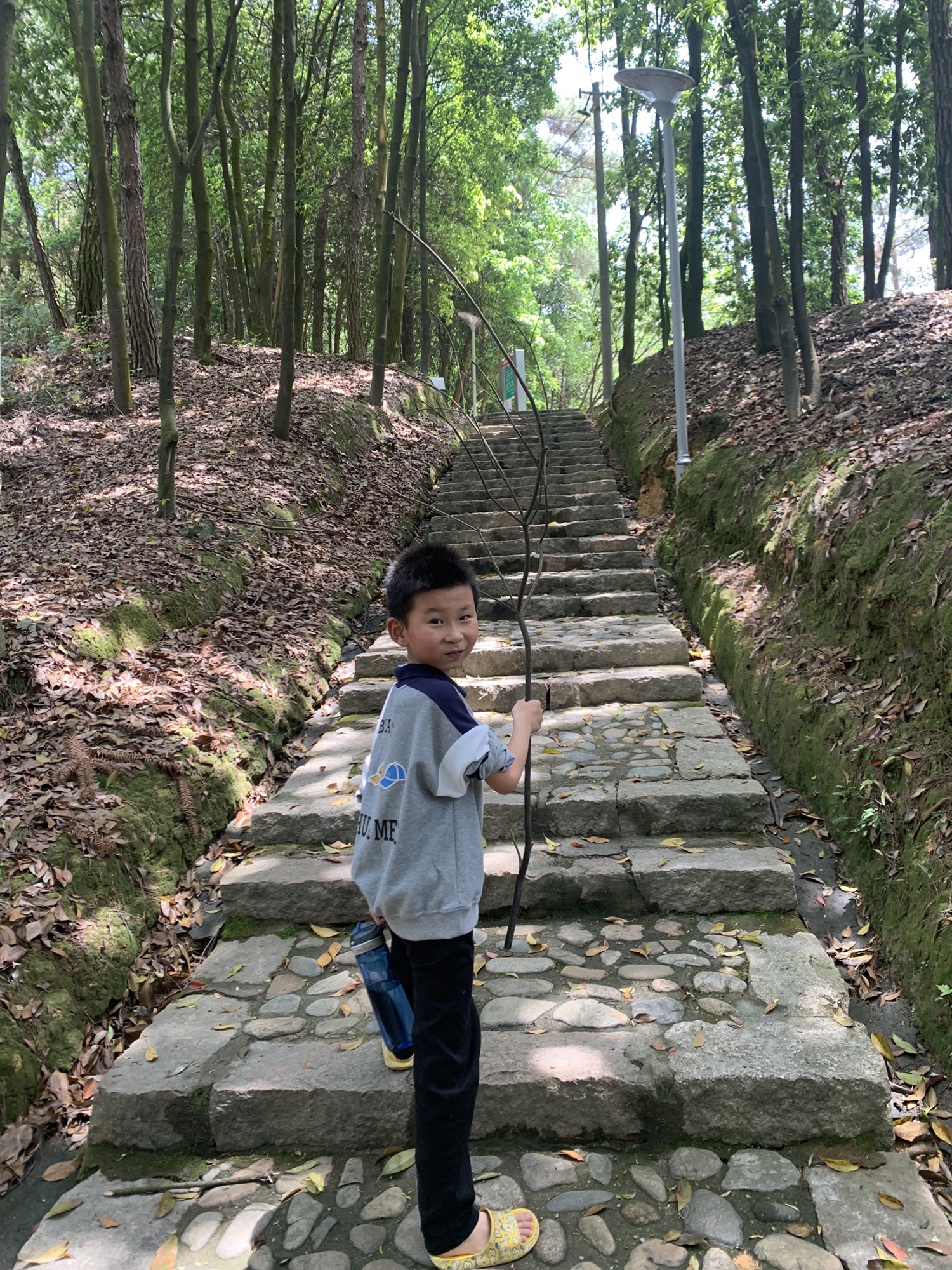 梅城森林公园旅行图片 1