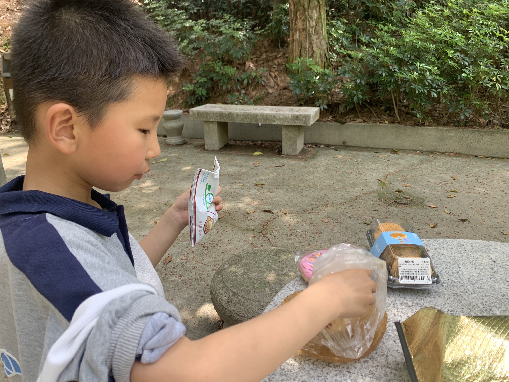 梅城森林公园旅行图片 3