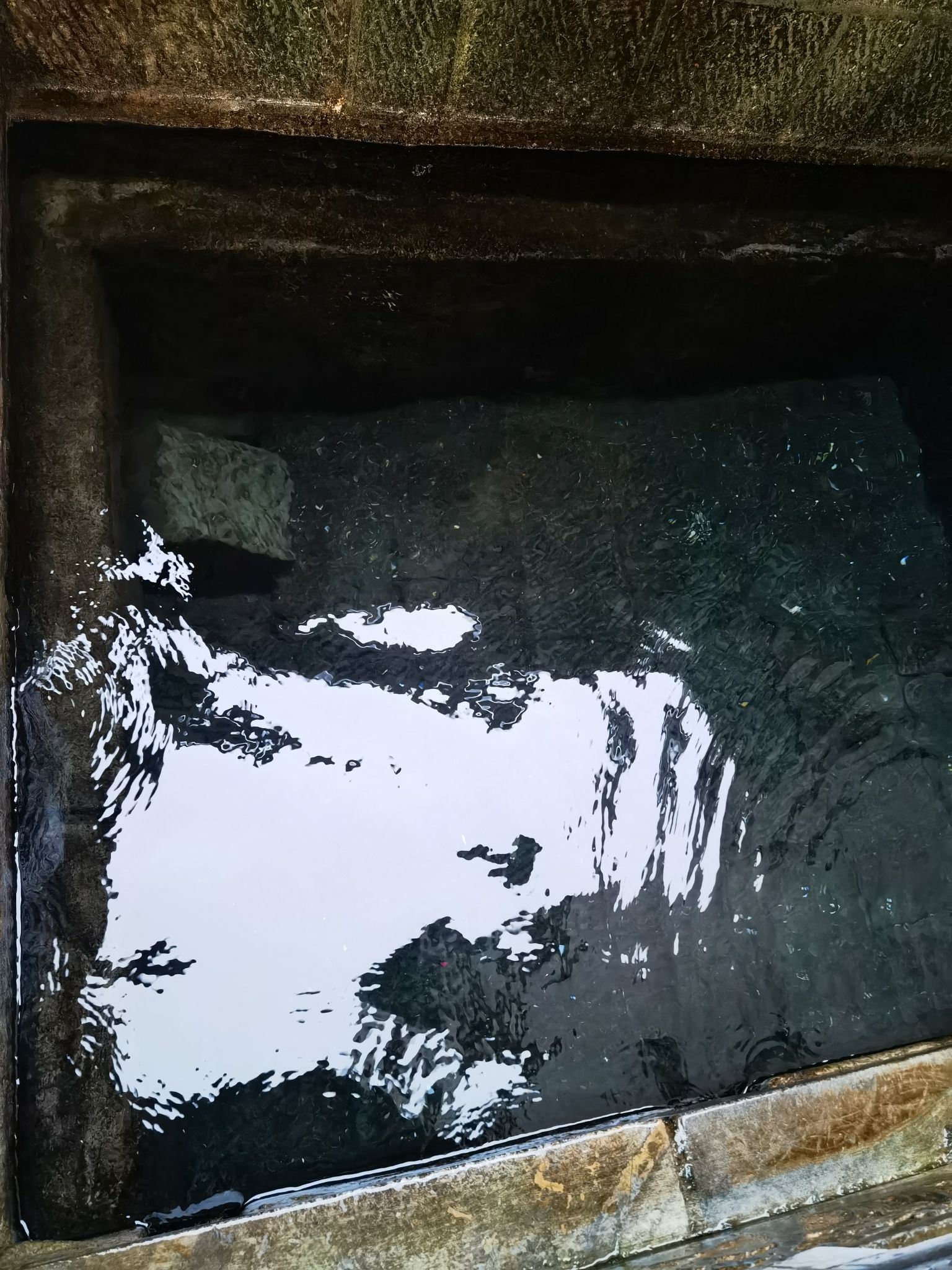 迎仙泉旅行图片 3