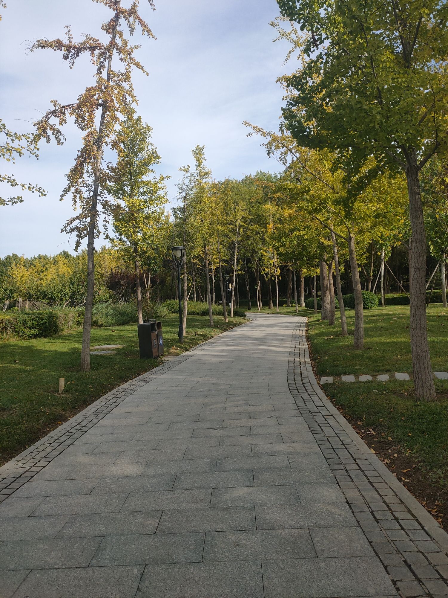 永乐店体育公园旅行图片 3