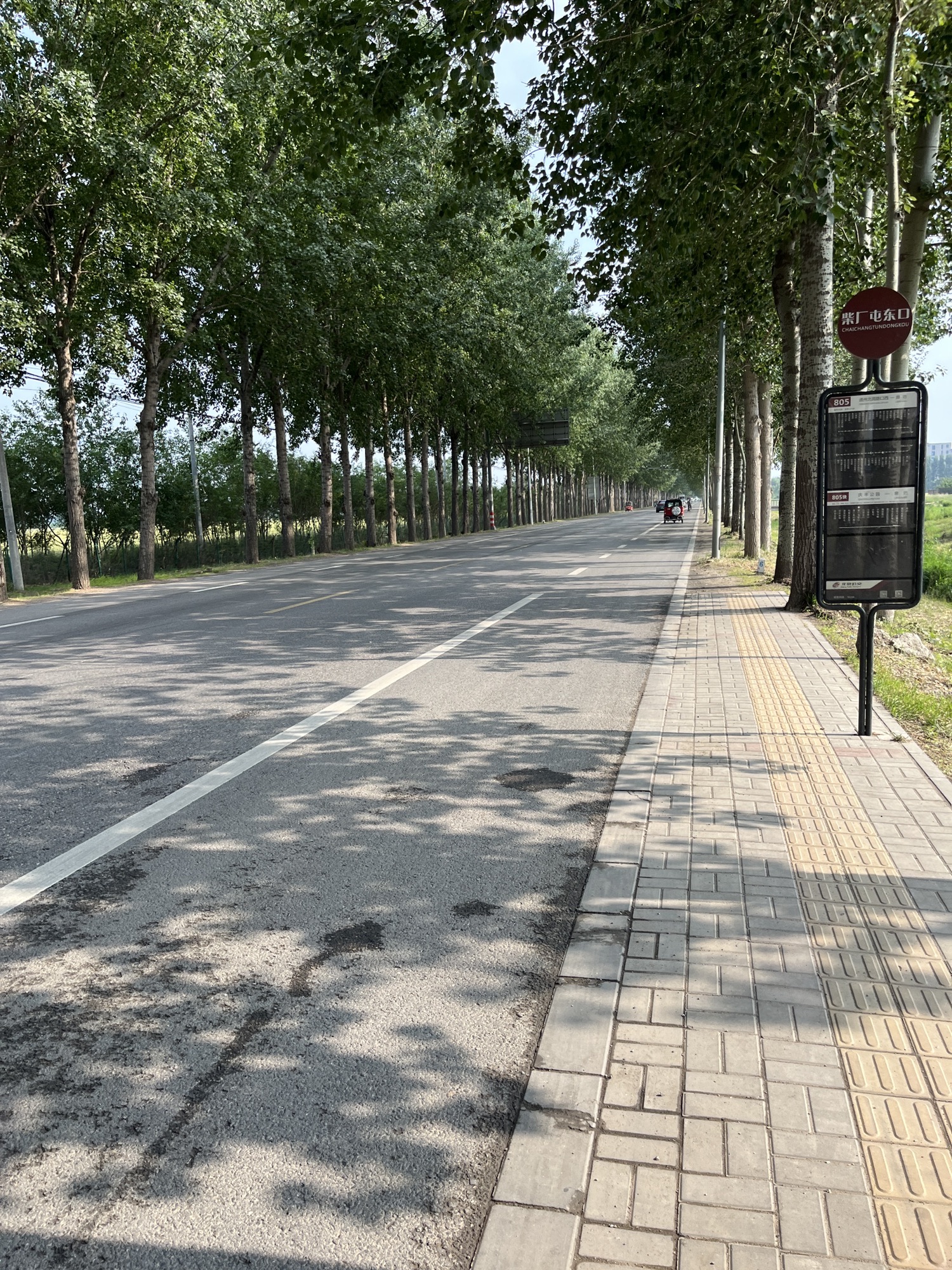 永乐店体育公园旅行图片 3