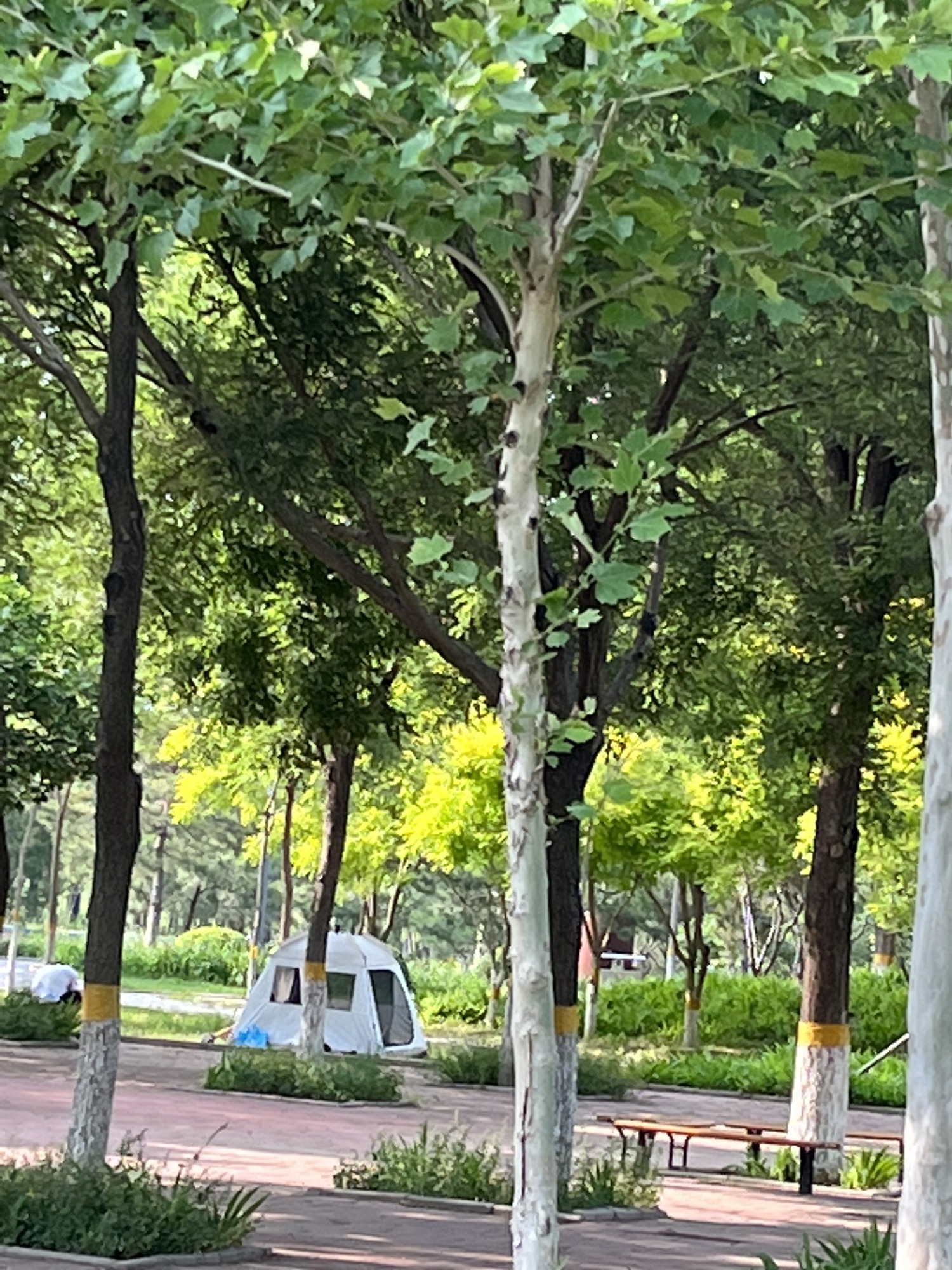 永乐店体育公园旅行图片 2