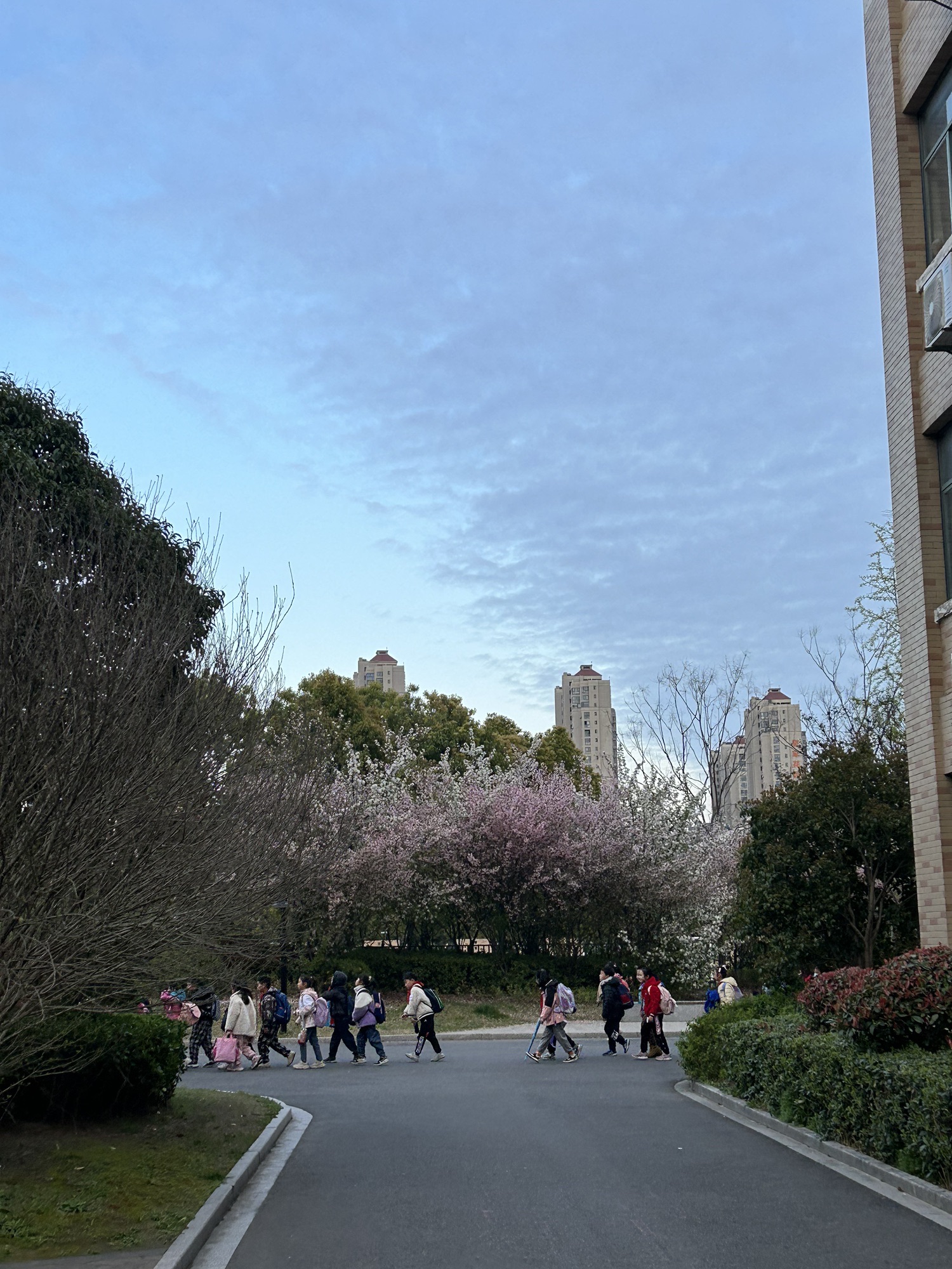 南通市北城小学(南校区)