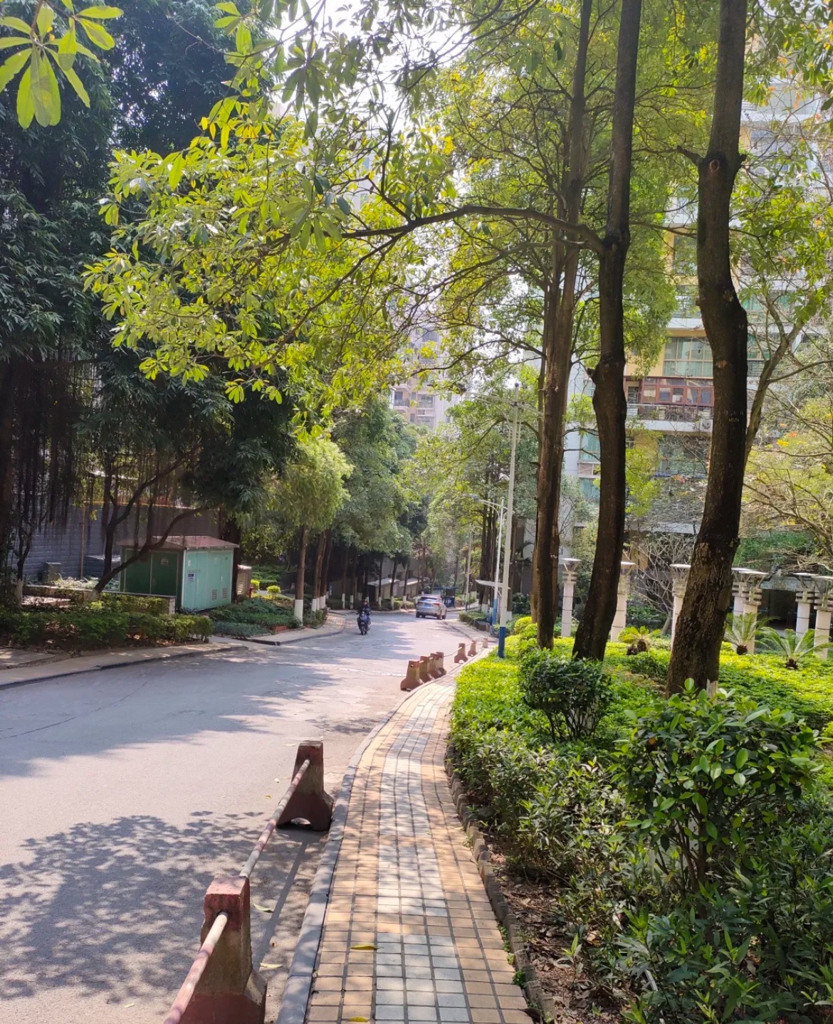 天池山广场旅行图片 1
