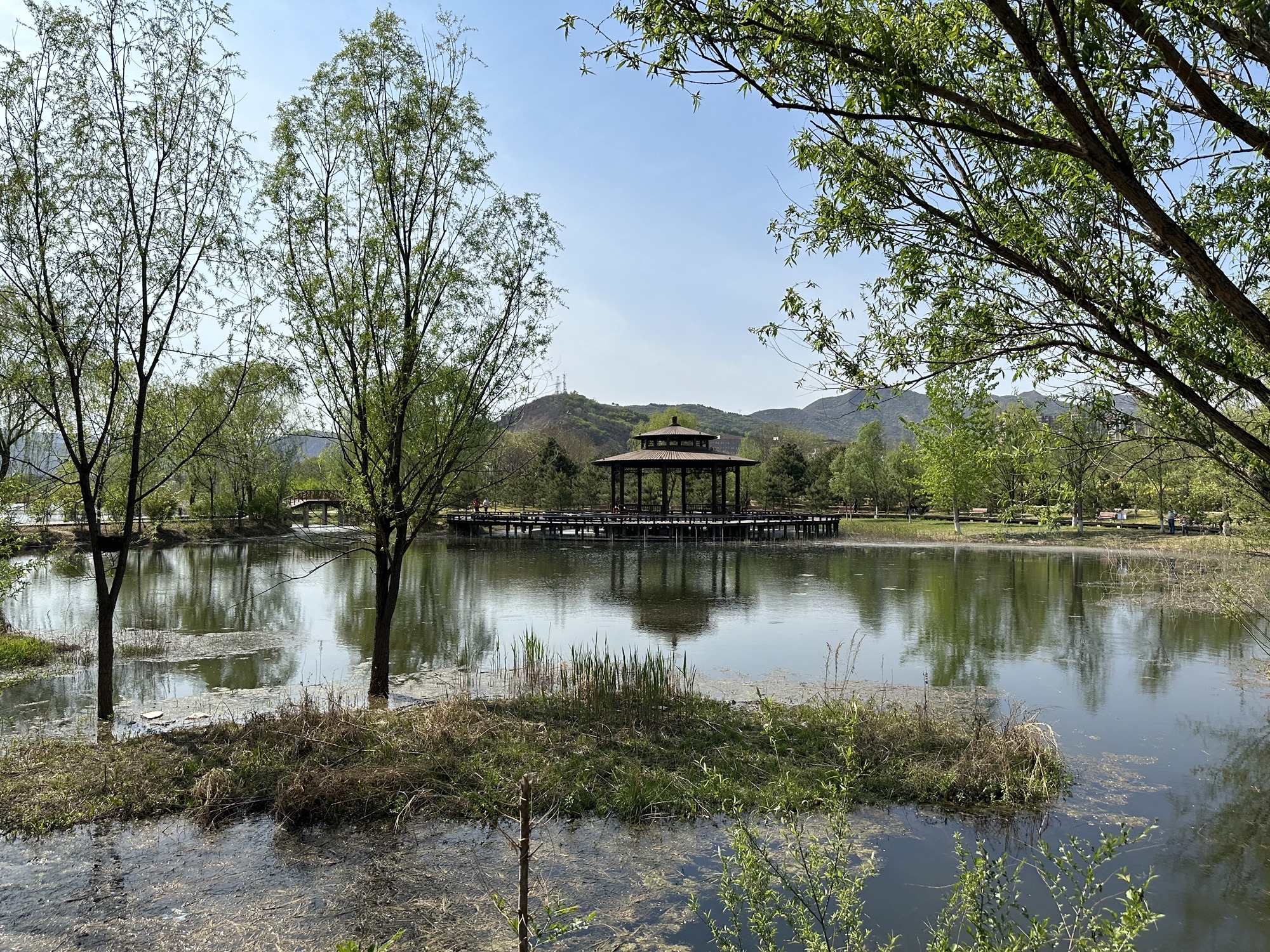 滨河公园旅行图片 2