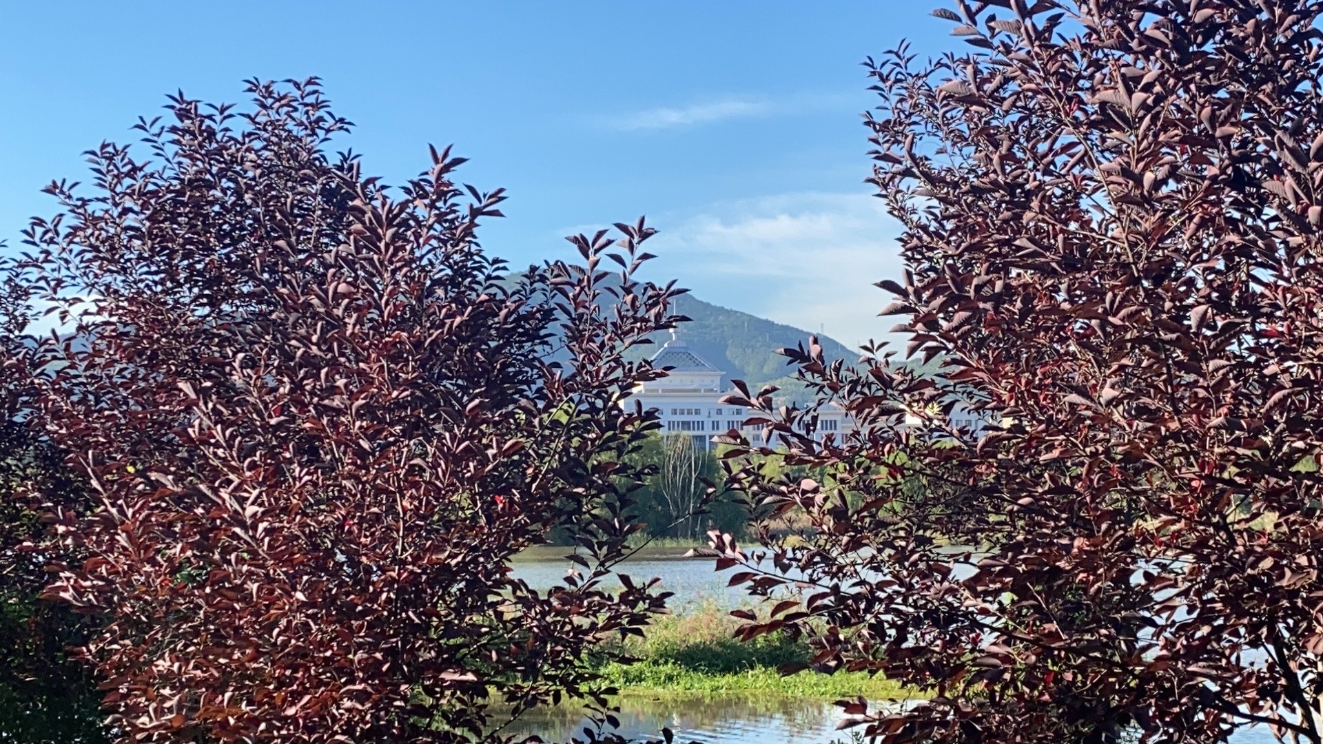 滨河公园旅行图片 1