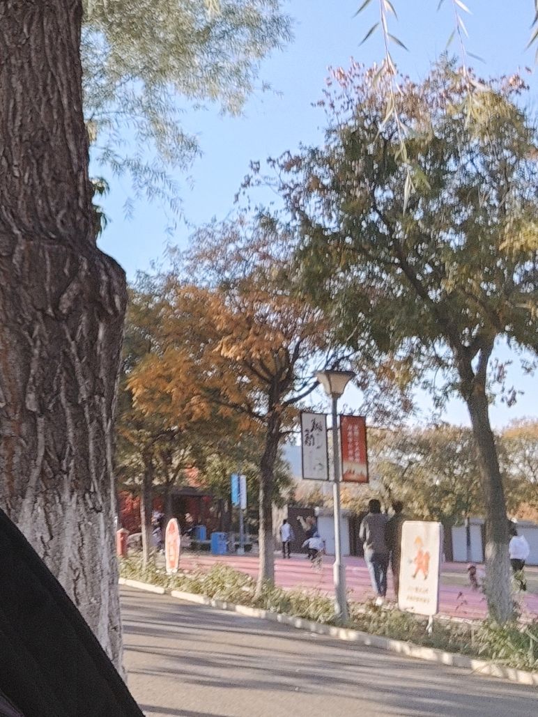 滨河公园旅行图片 3