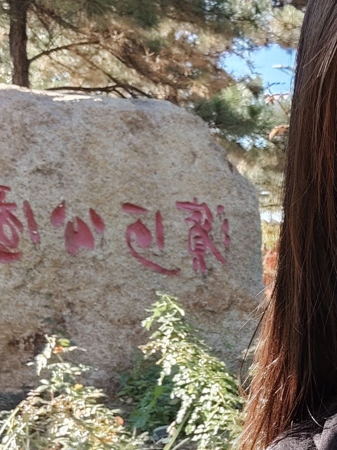 滨河公园旅行图片 1