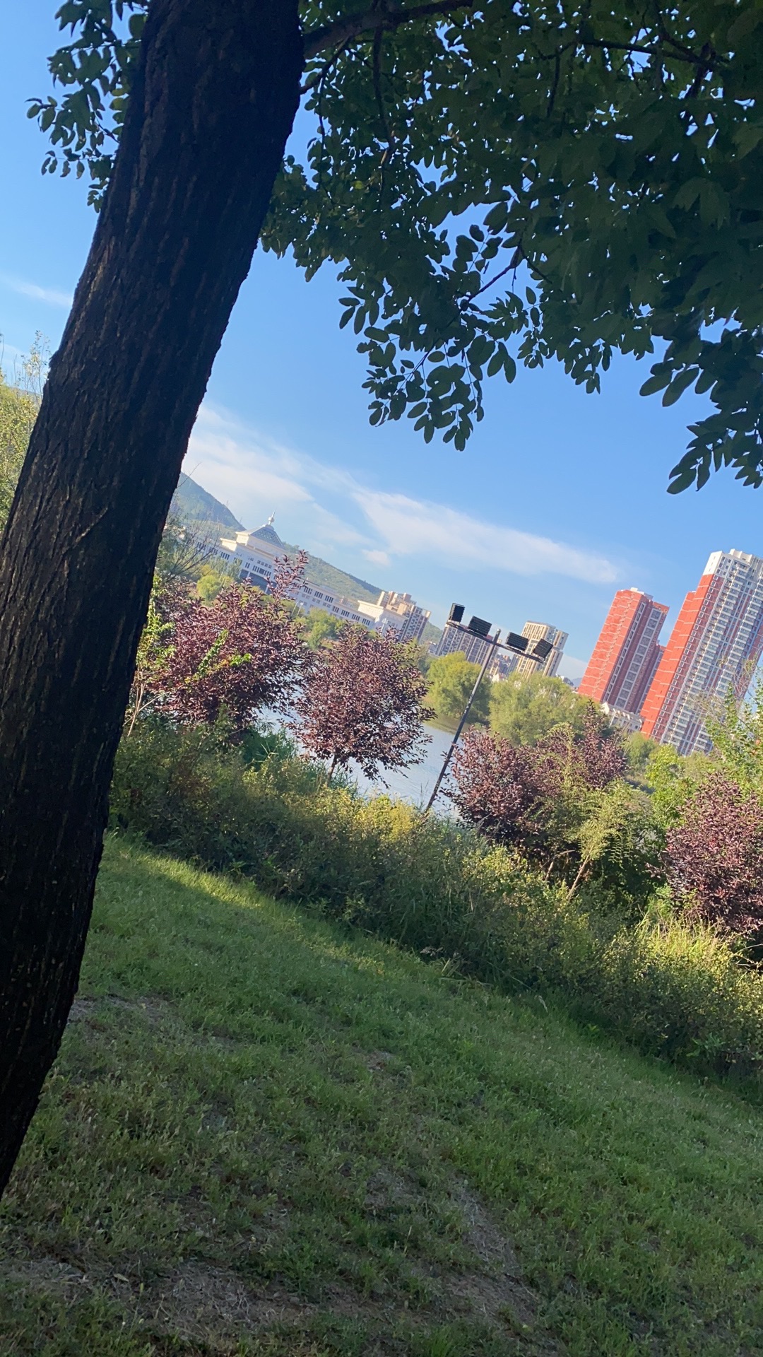 滨河公园旅行图片 2