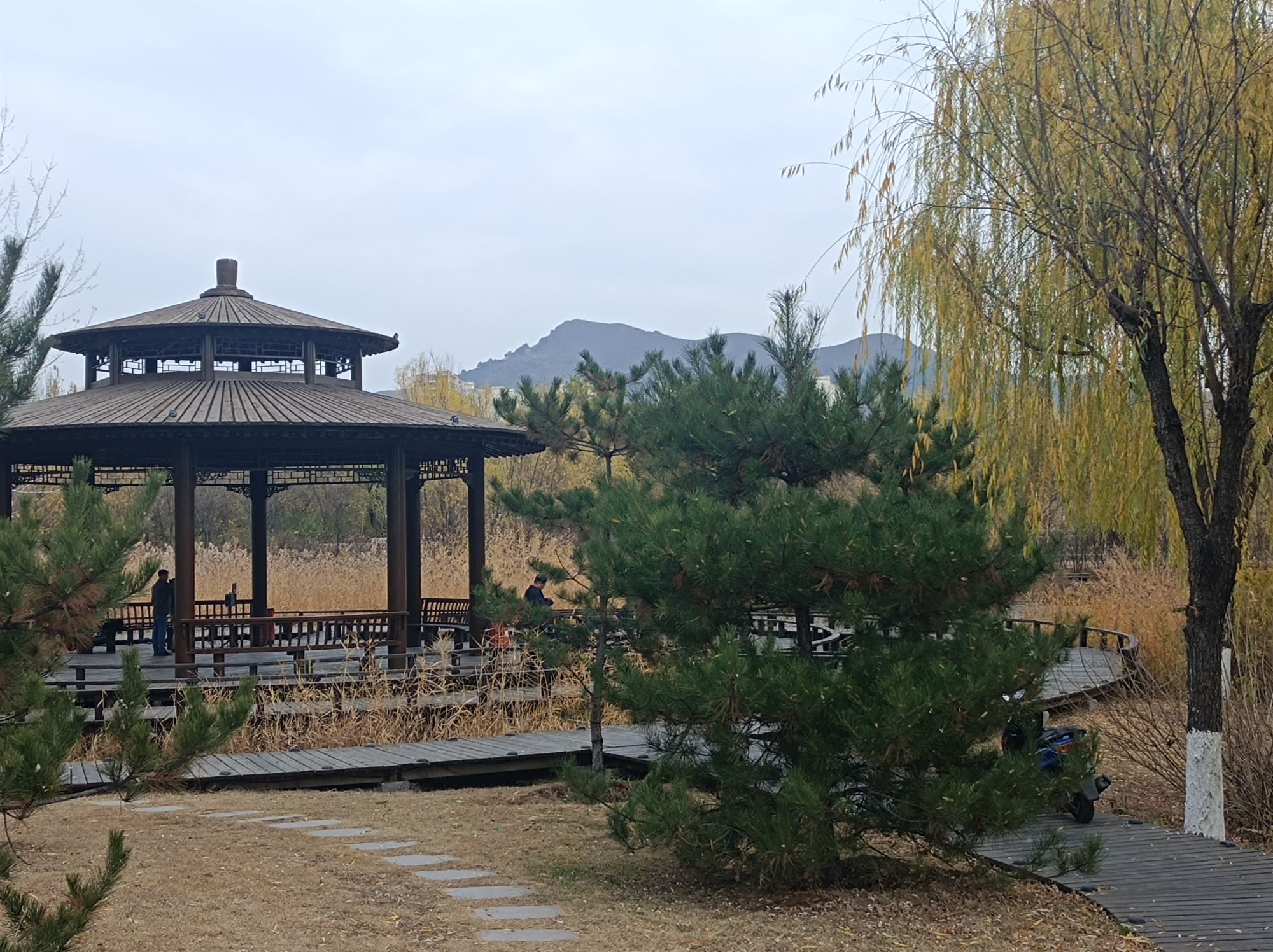 滨河公园旅行图片 2