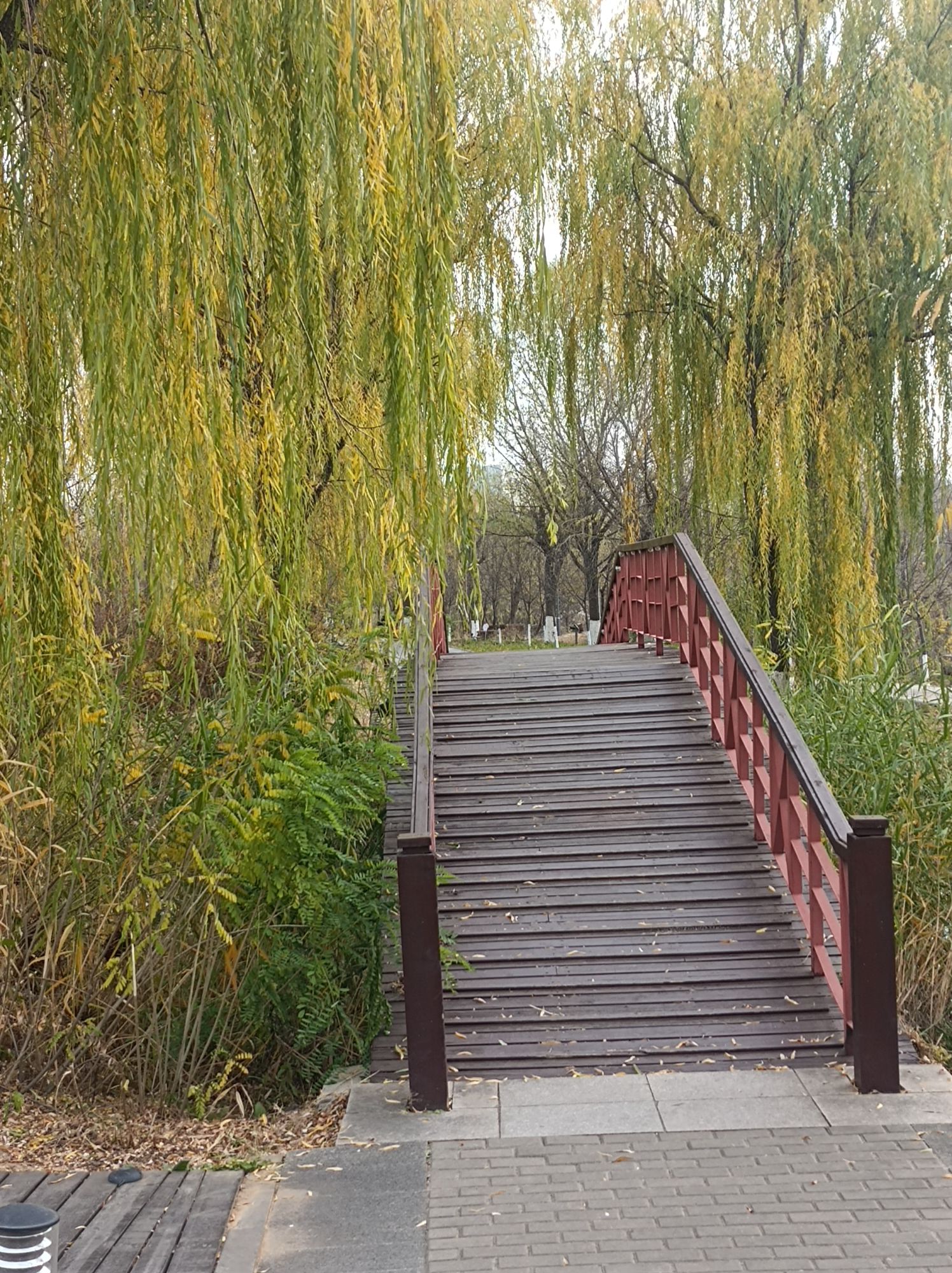 滨河公园旅行图片 1