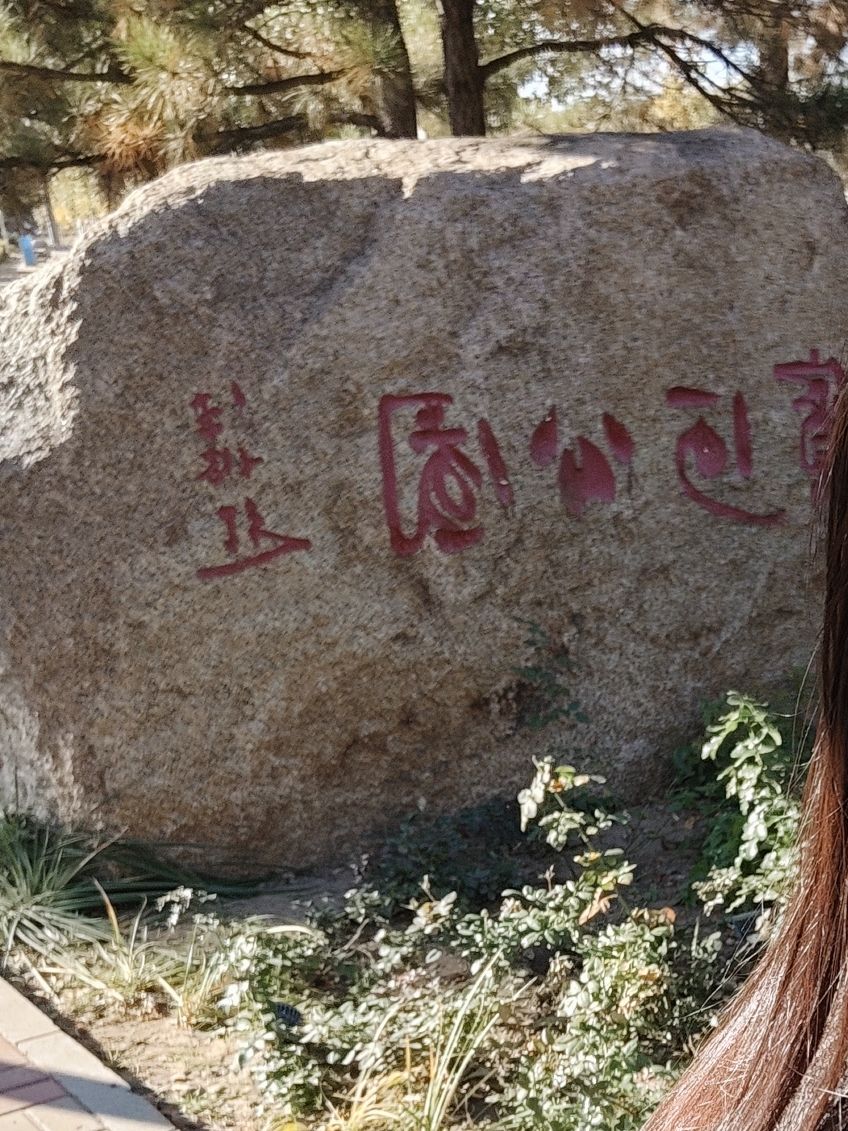滨河公园旅行图片 2