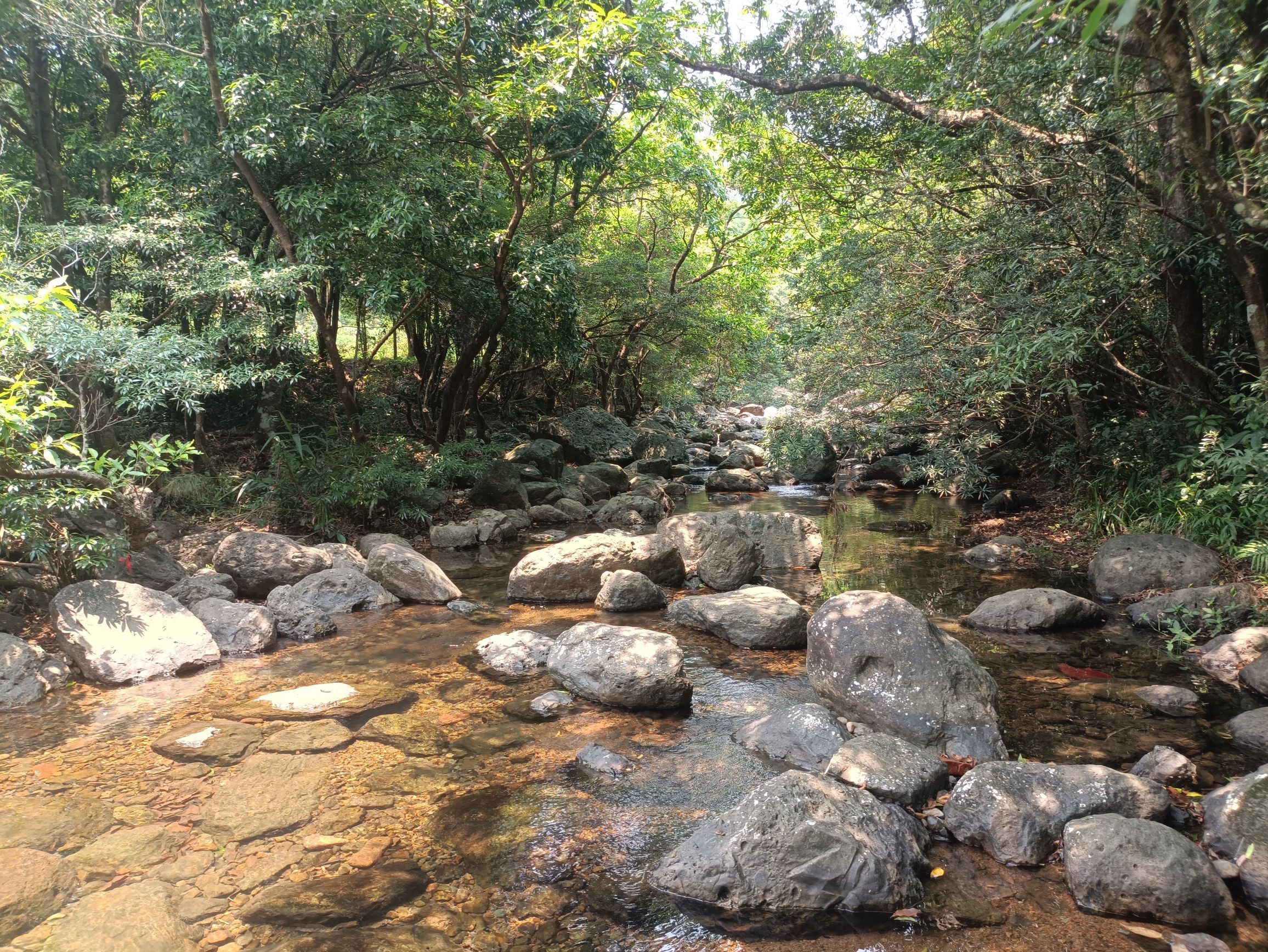 南山景区旅行图片 1