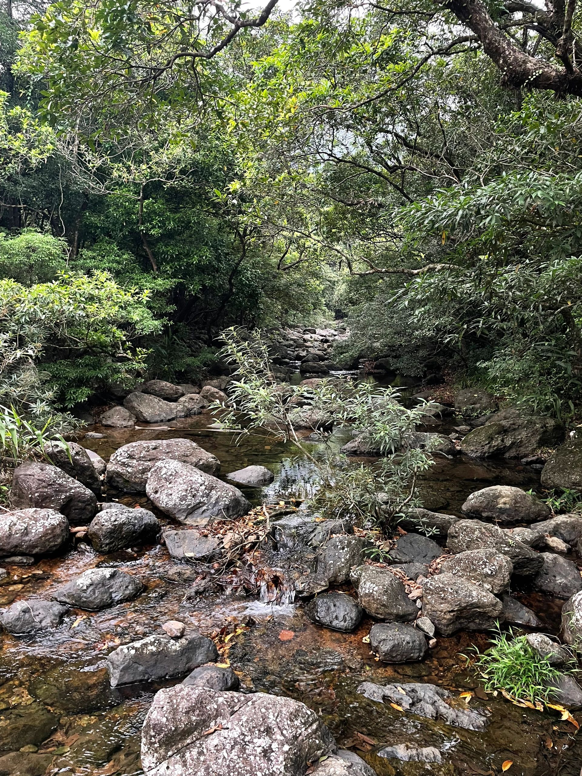 南山景区旅行图片 1