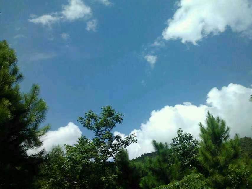 南山景区旅行图片 3