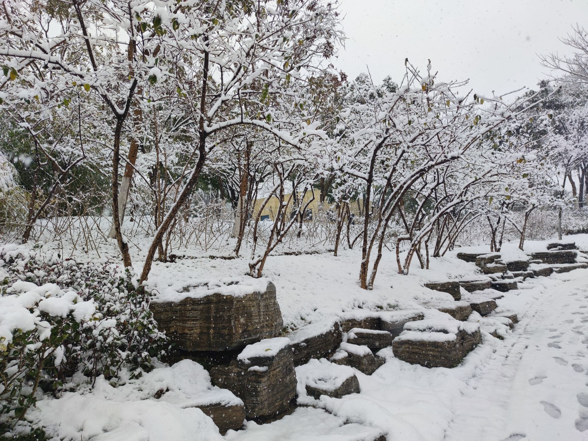 文化公园旅行图片 3