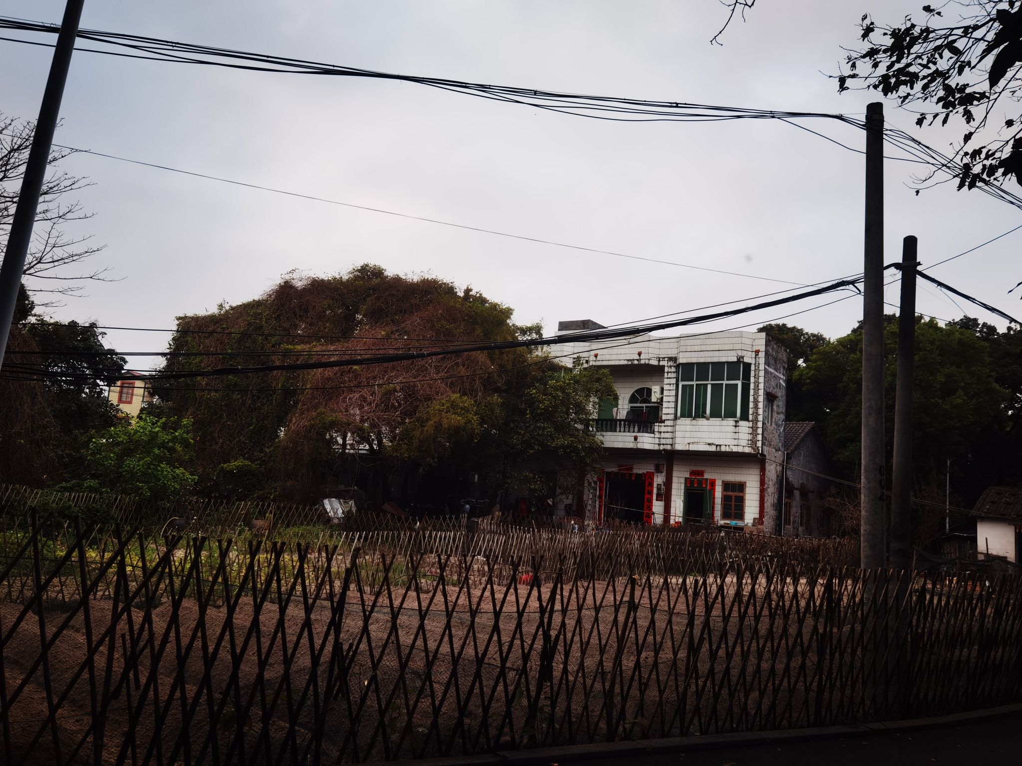 簕山古渔村旅行图片 3