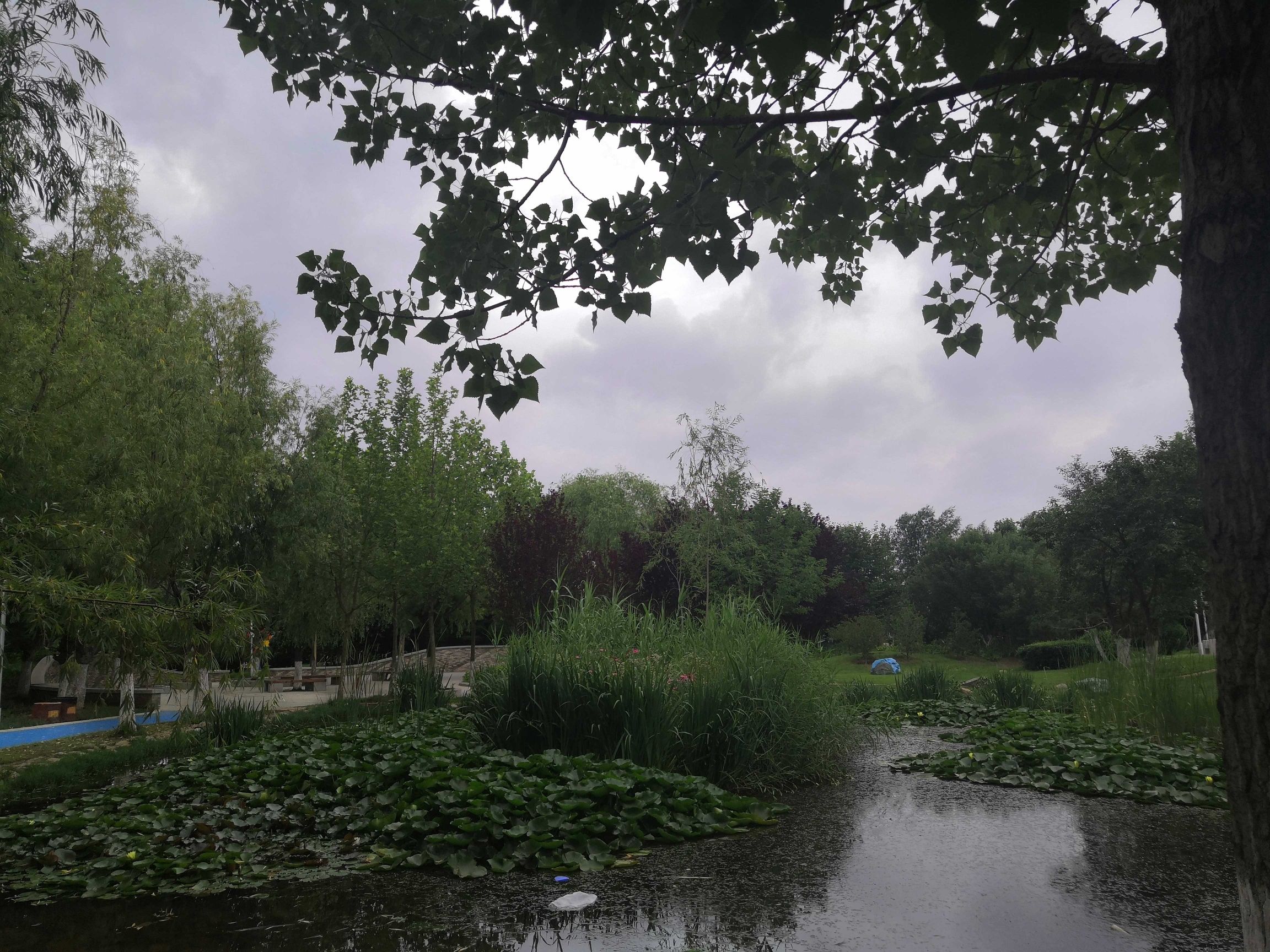 植物园旅行图片 2