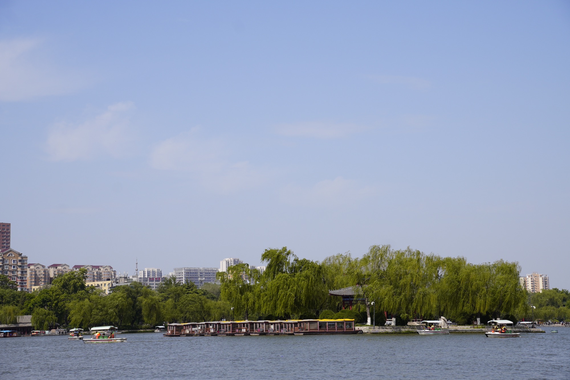 大明湖景区-翠柳屏岛