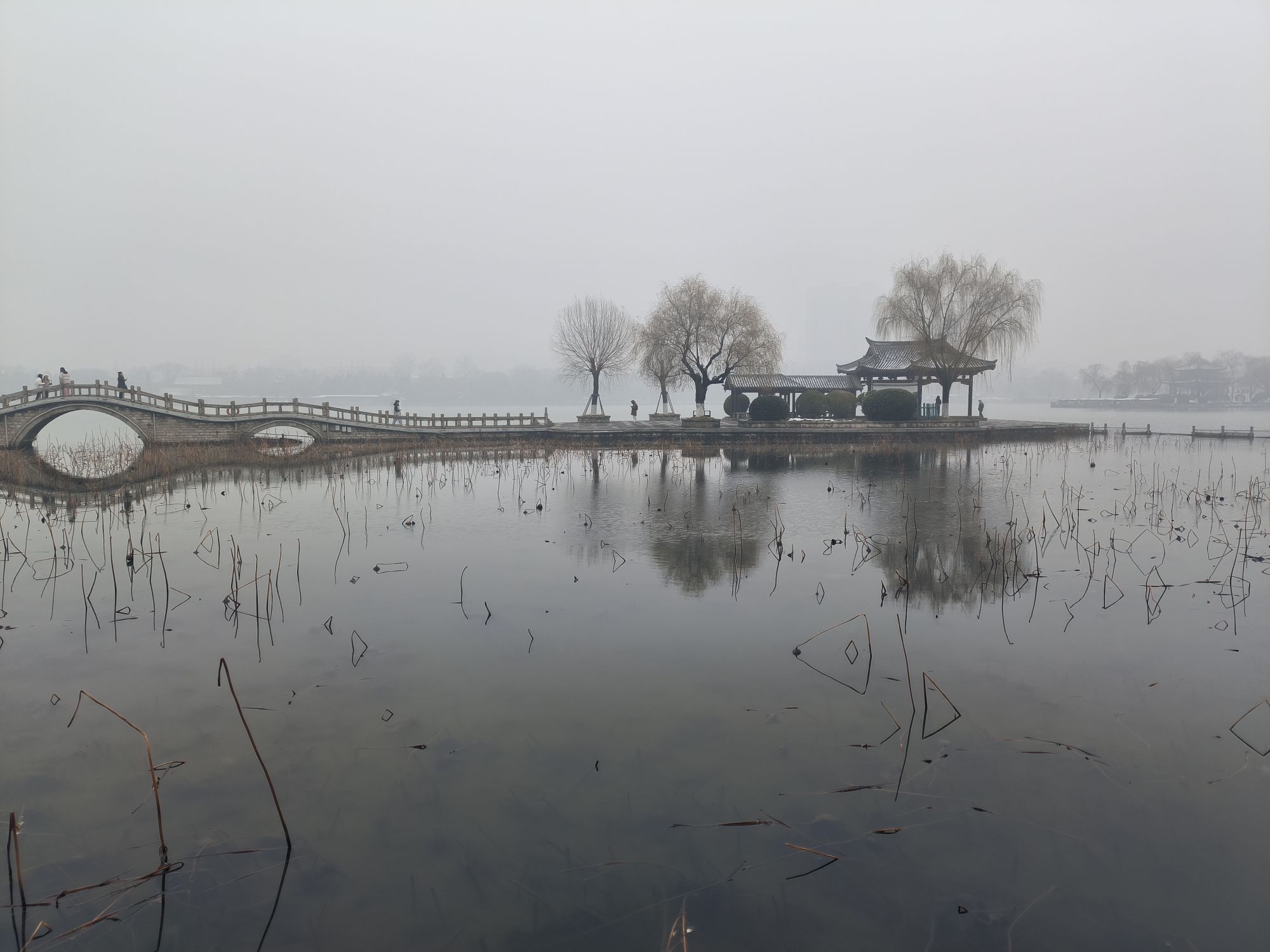 大明湖景区-翠柳屏岛