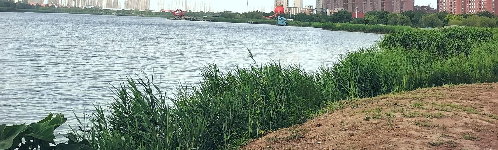 新塘湖旅行图片 1