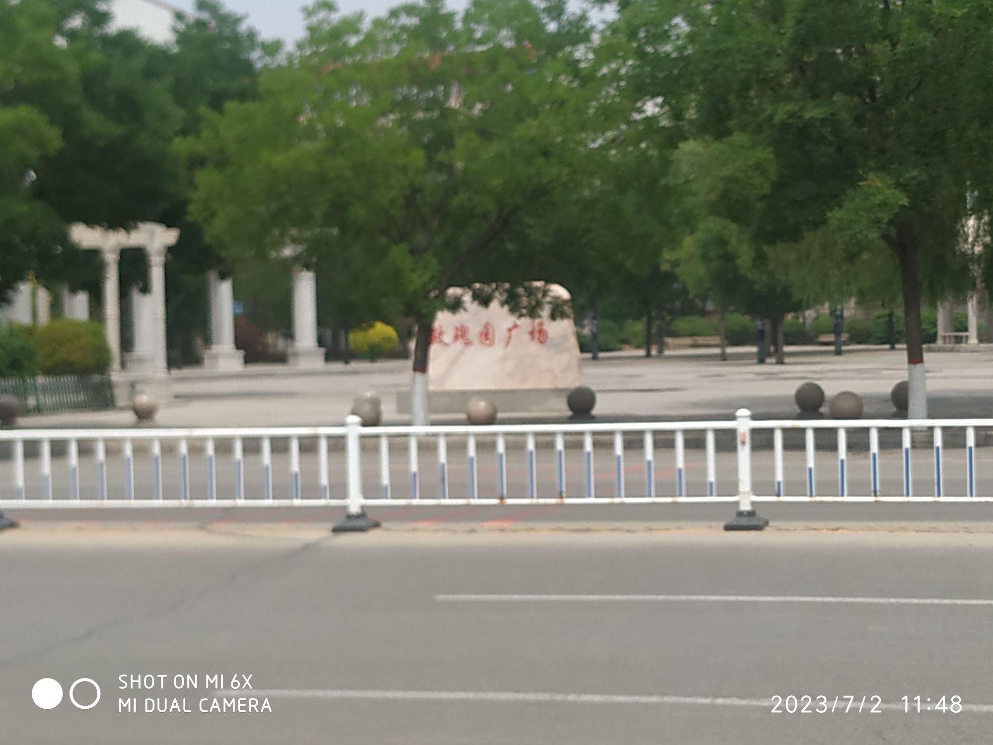 玫瑰公园旅行图片 3