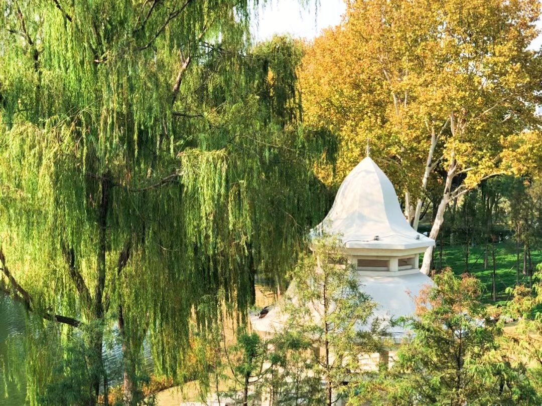 常青花园中心公园旅行图片 1