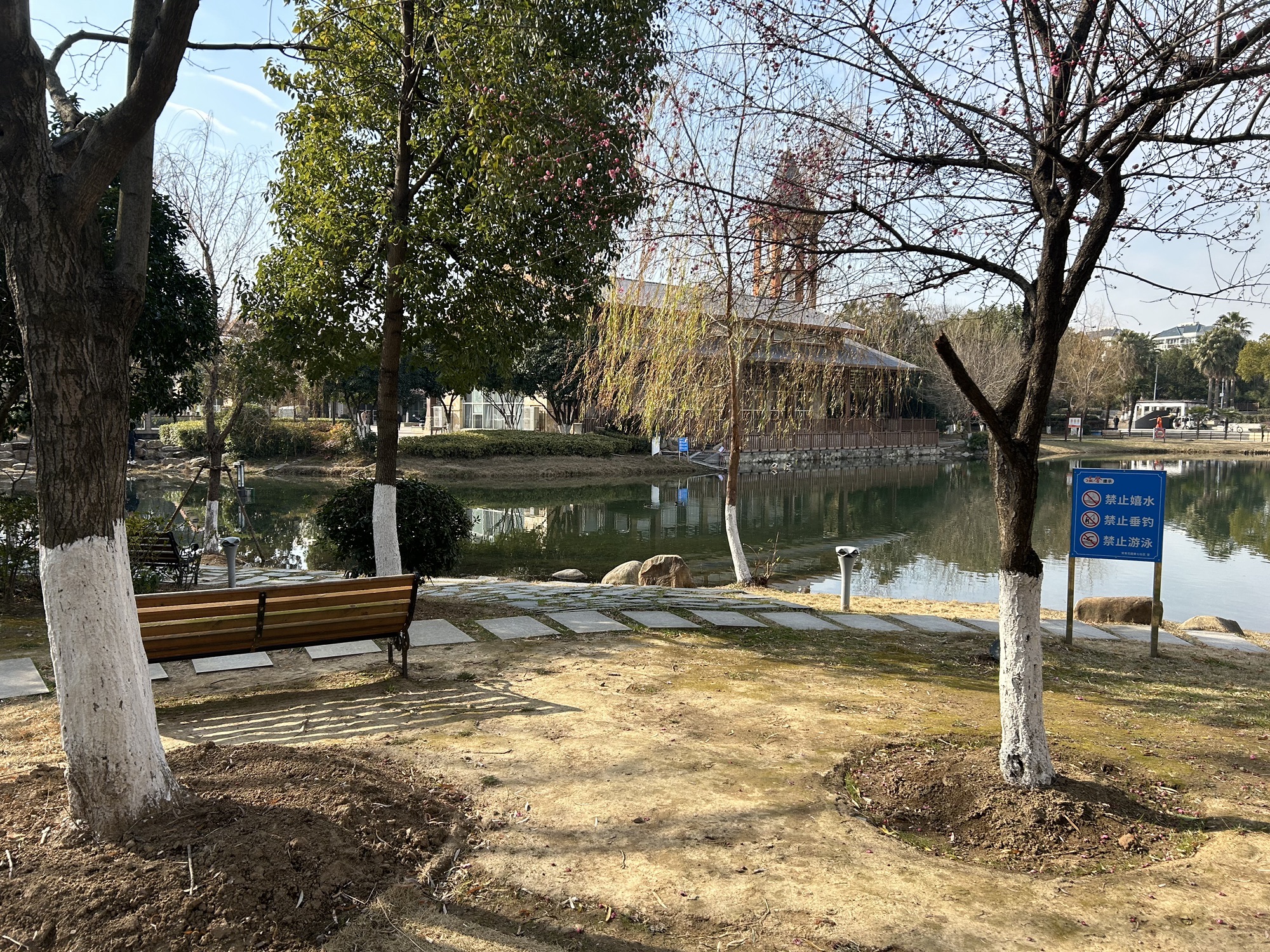 常青花园中心公园旅行图片 2