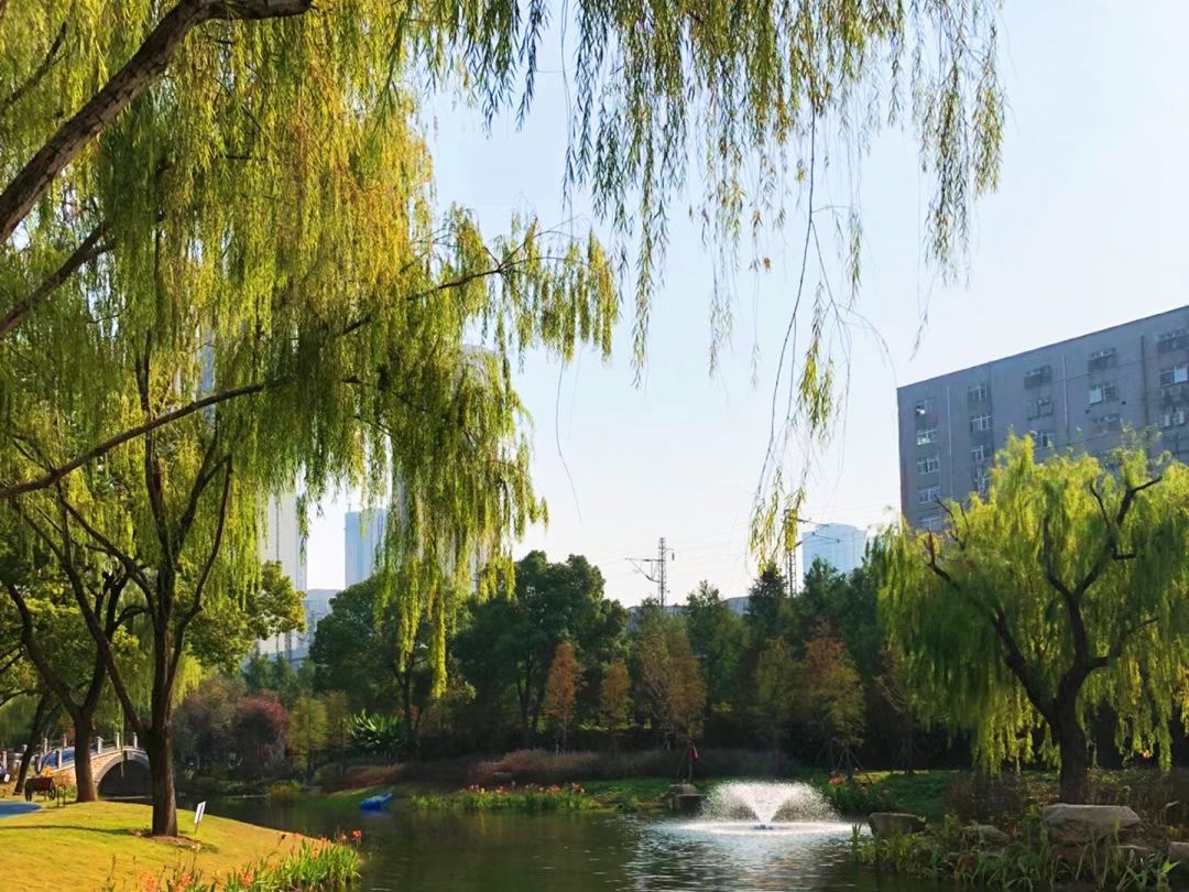 常青花园中心公园旅行图片 3