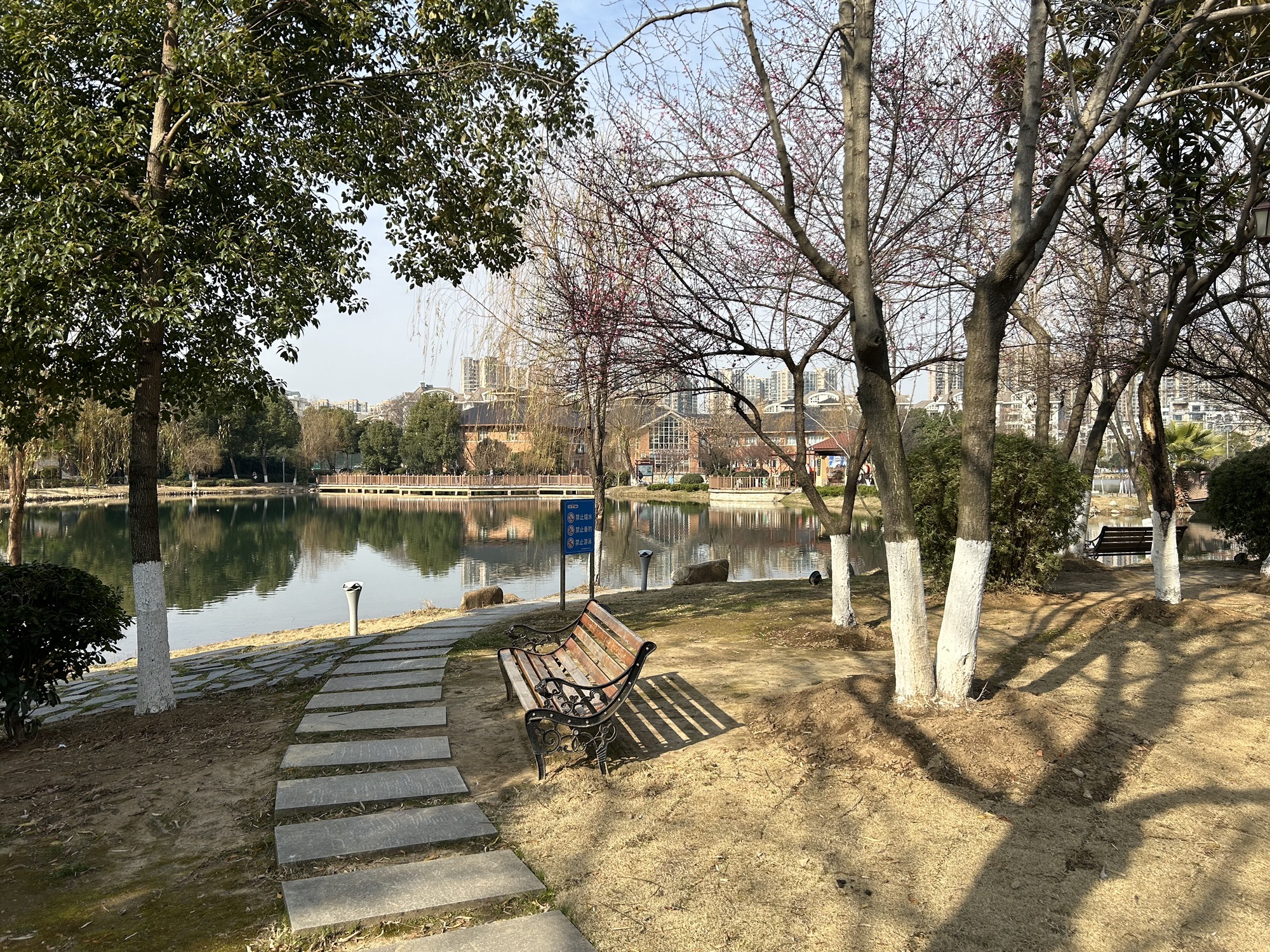 常青花园中心公园旅行图片 1