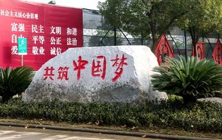 常青花园中心公园旅行图片 2