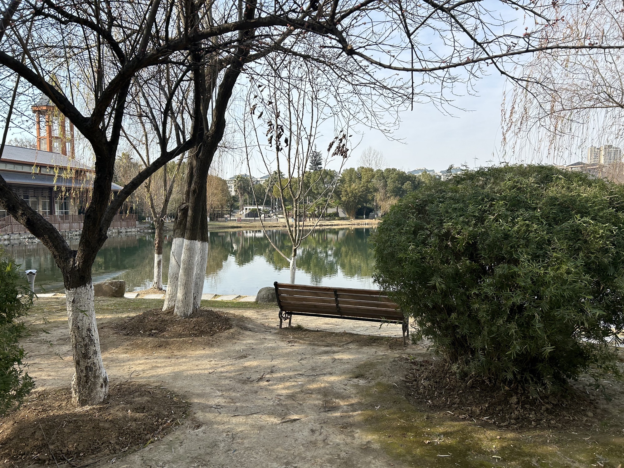 常青花园中心公园旅行图片 3