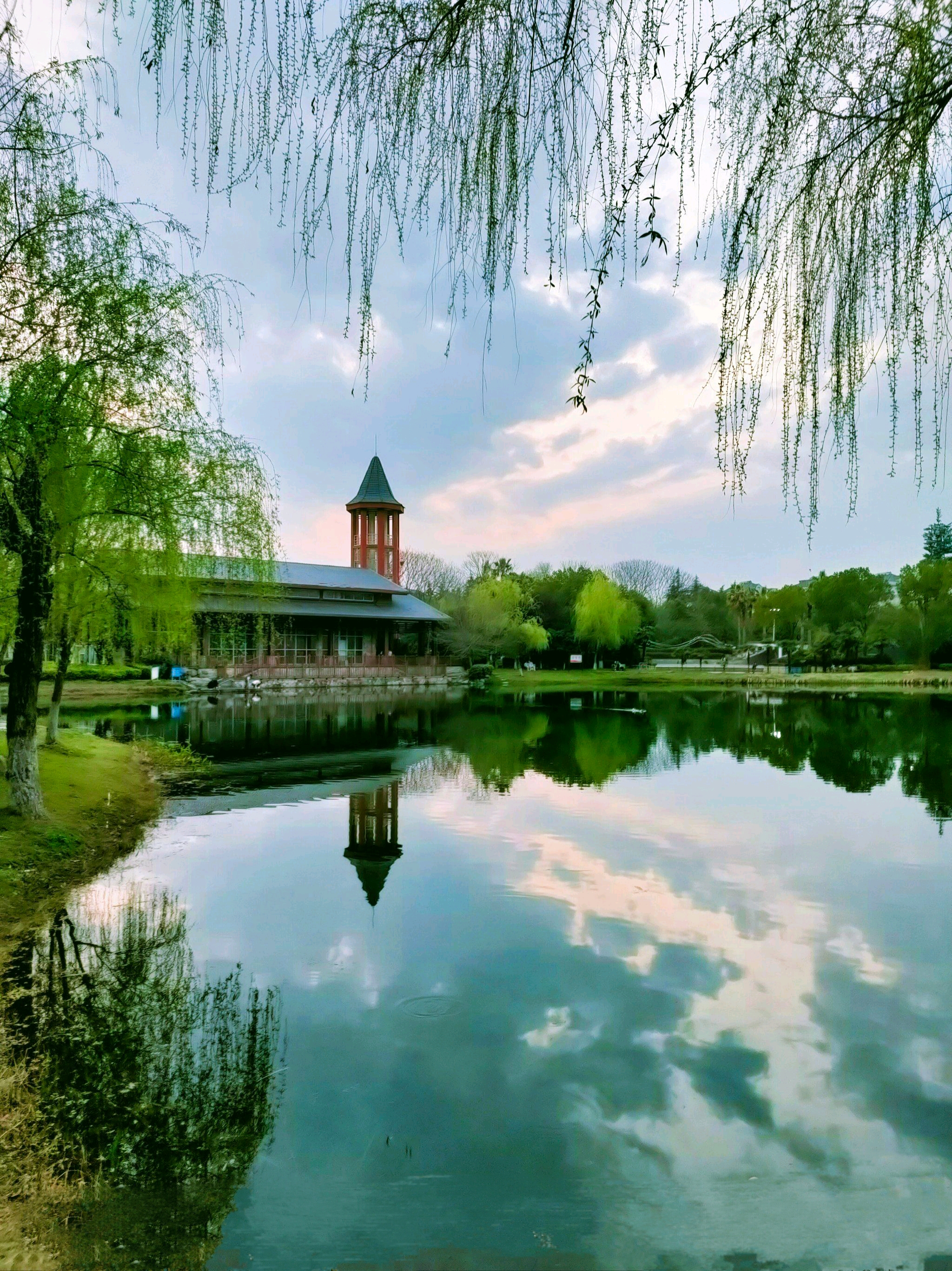 常青花园中心公园旅行图片 3