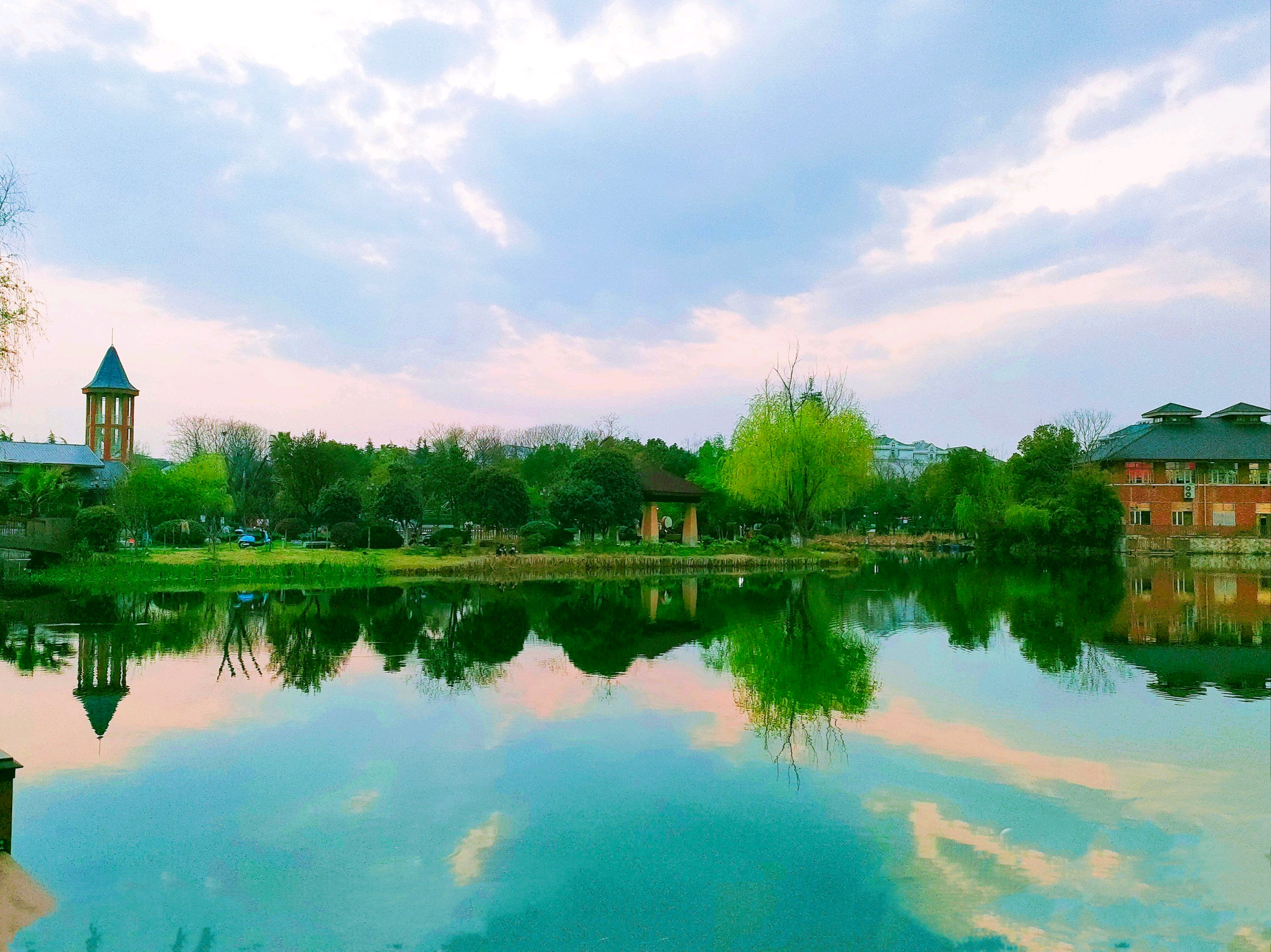 常青花园中心公园旅行图片 2