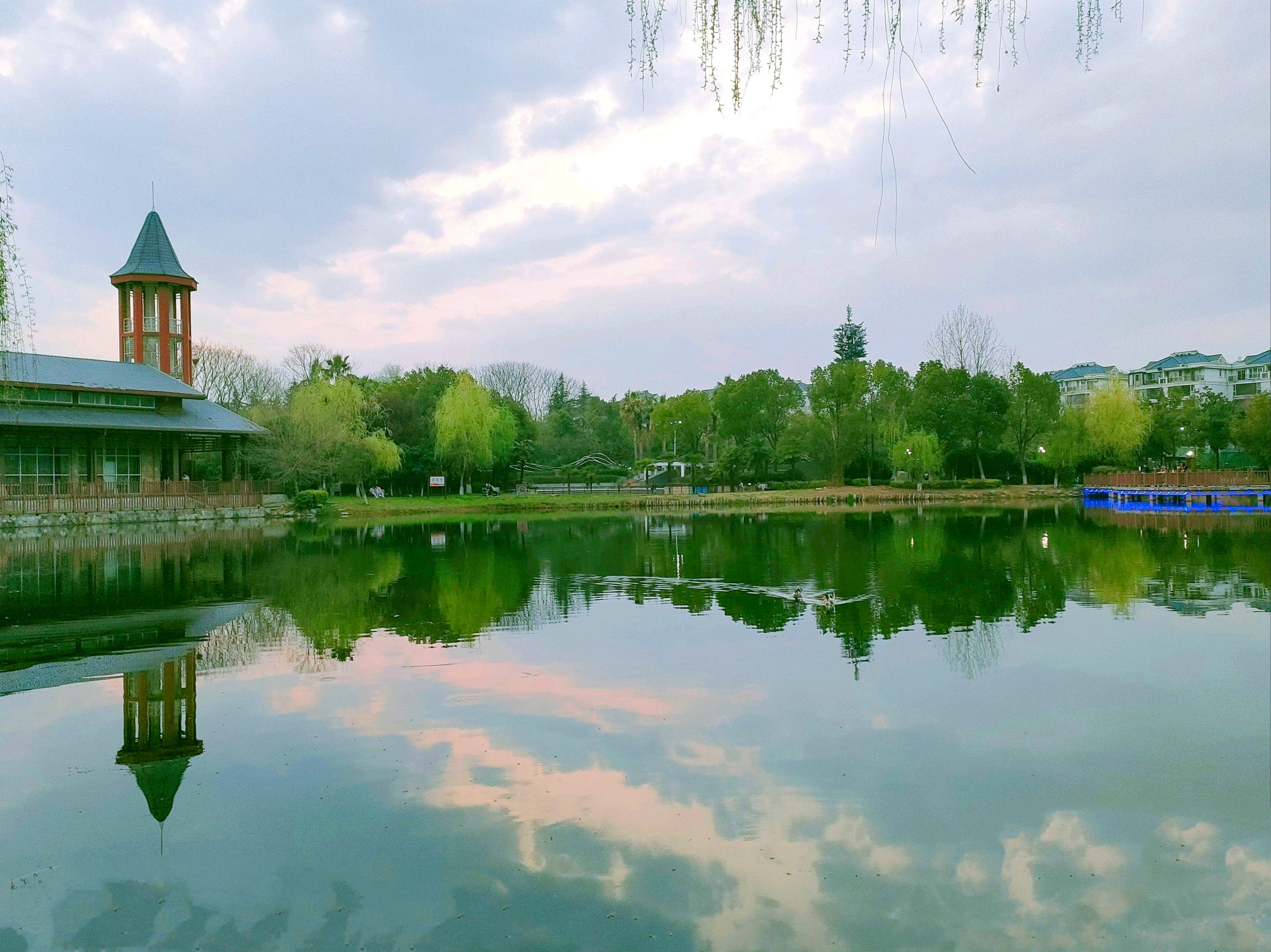 常青花园中心公园旅行图片 1