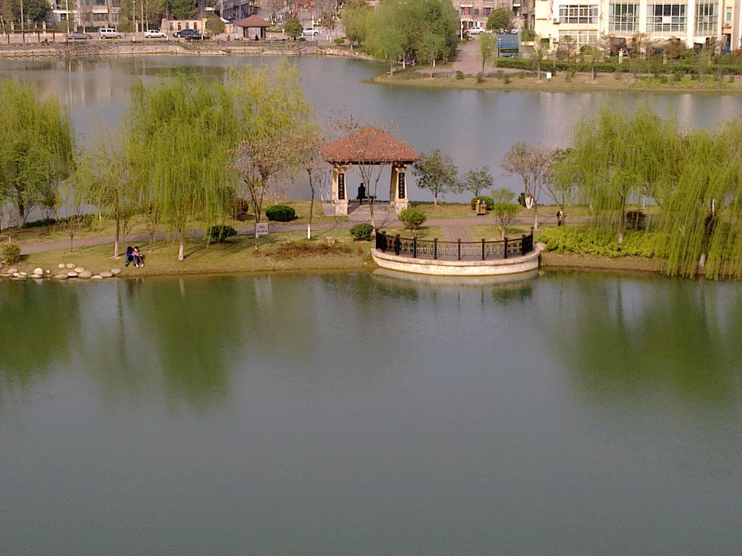常青花园中心公园旅行图片 3