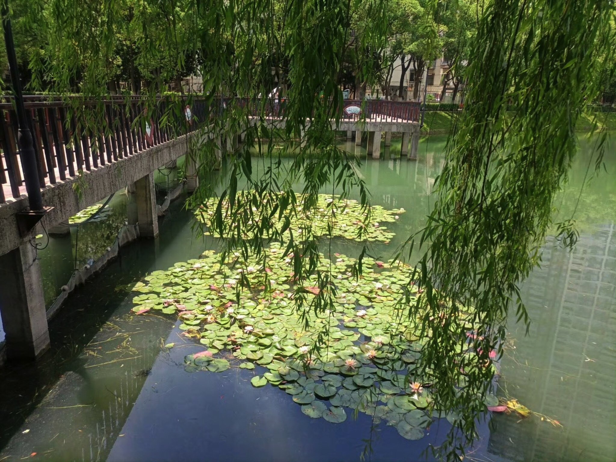乌越桂子园旅行图片 2