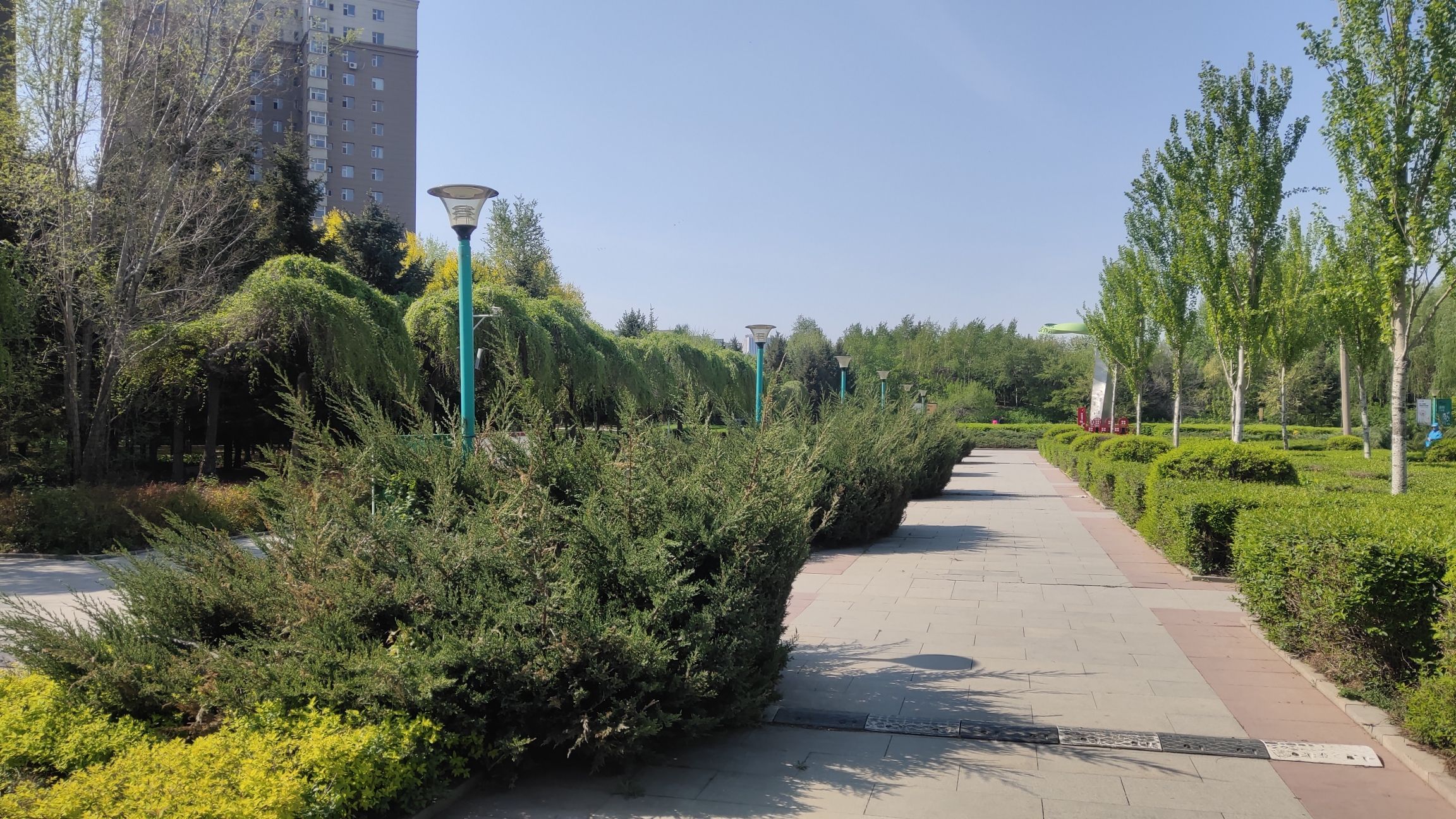 长春公园南门停车场