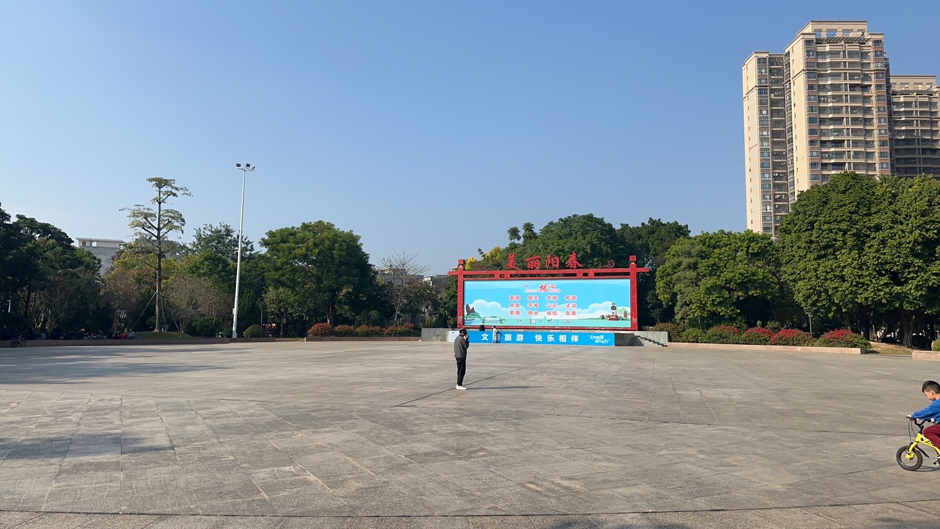 名树公园旅行图片 3