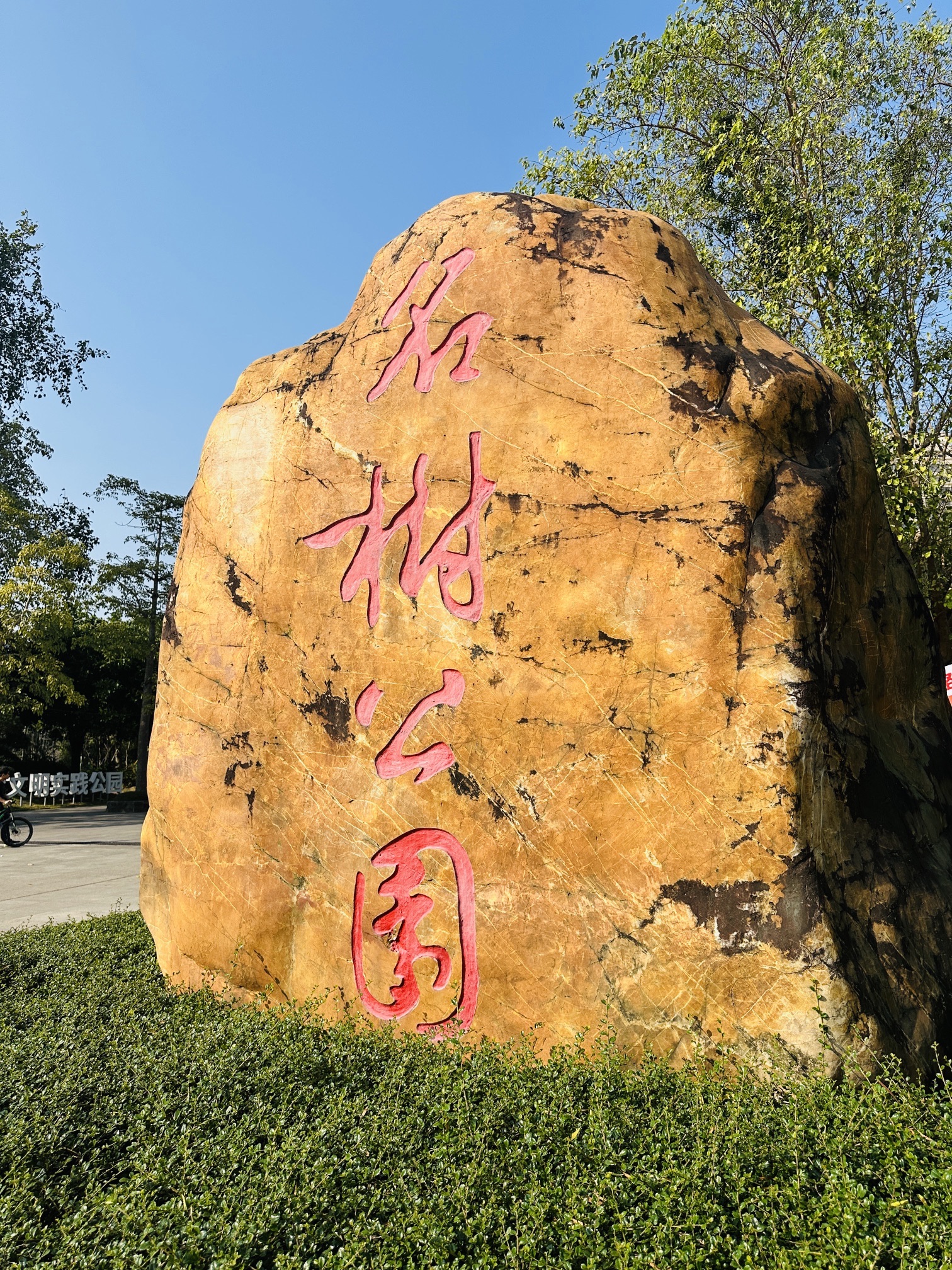 名树公园旅行图片 2