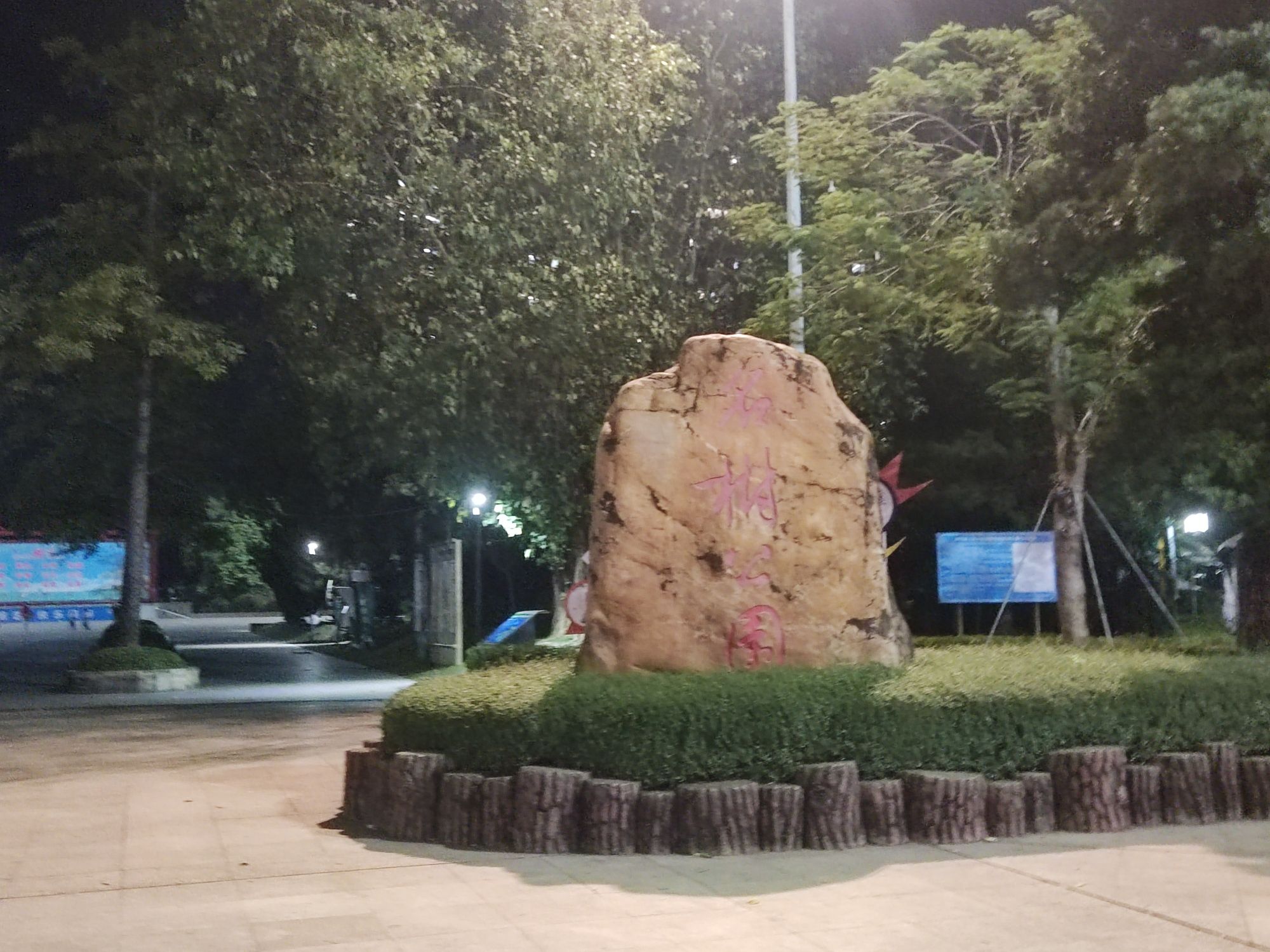 名树公园旅行图片 2