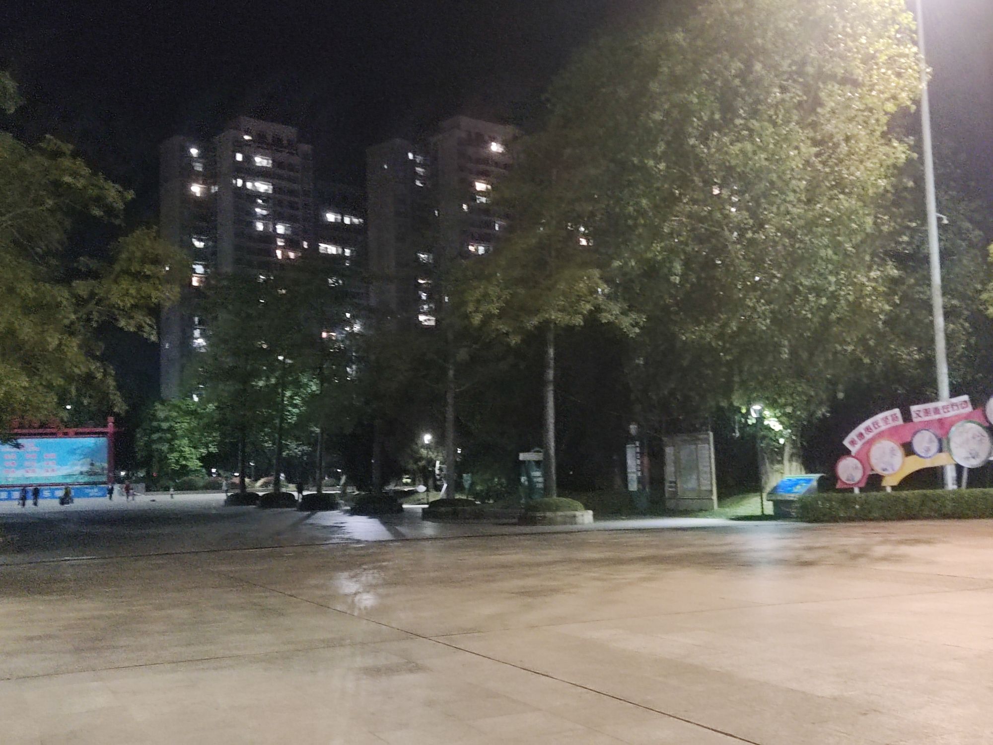 名树公园旅行图片 3