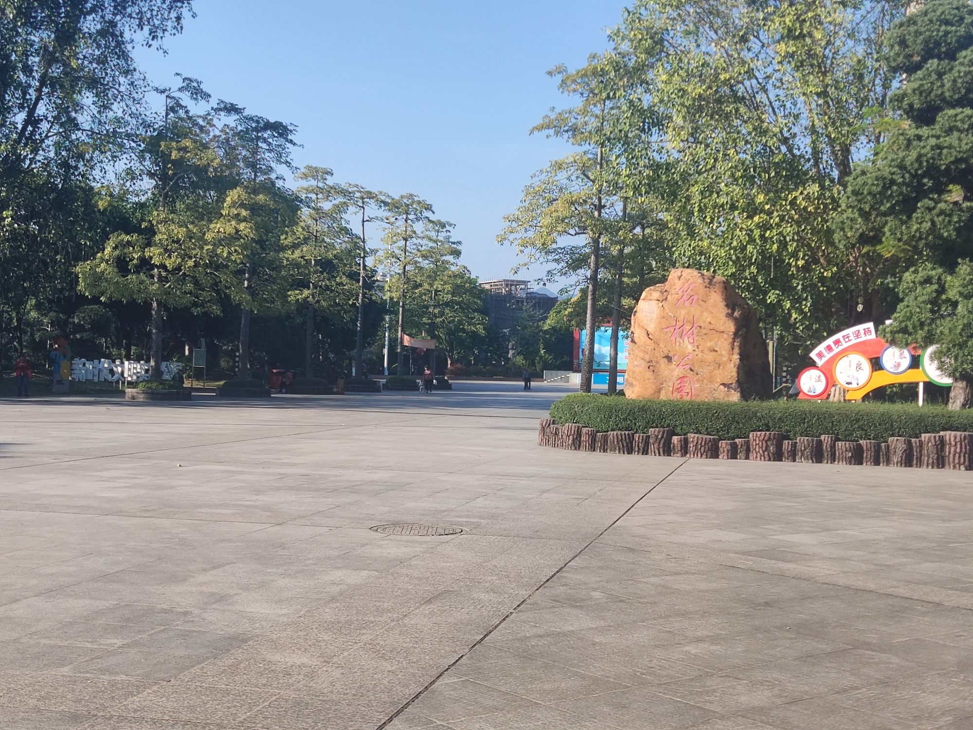 名树公园旅行图片 1