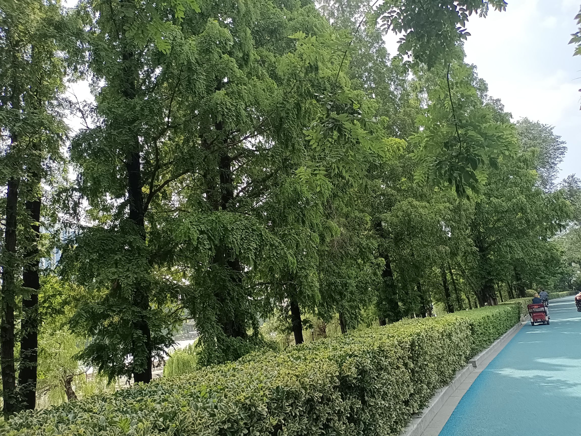 河滨广场旅行图片 2