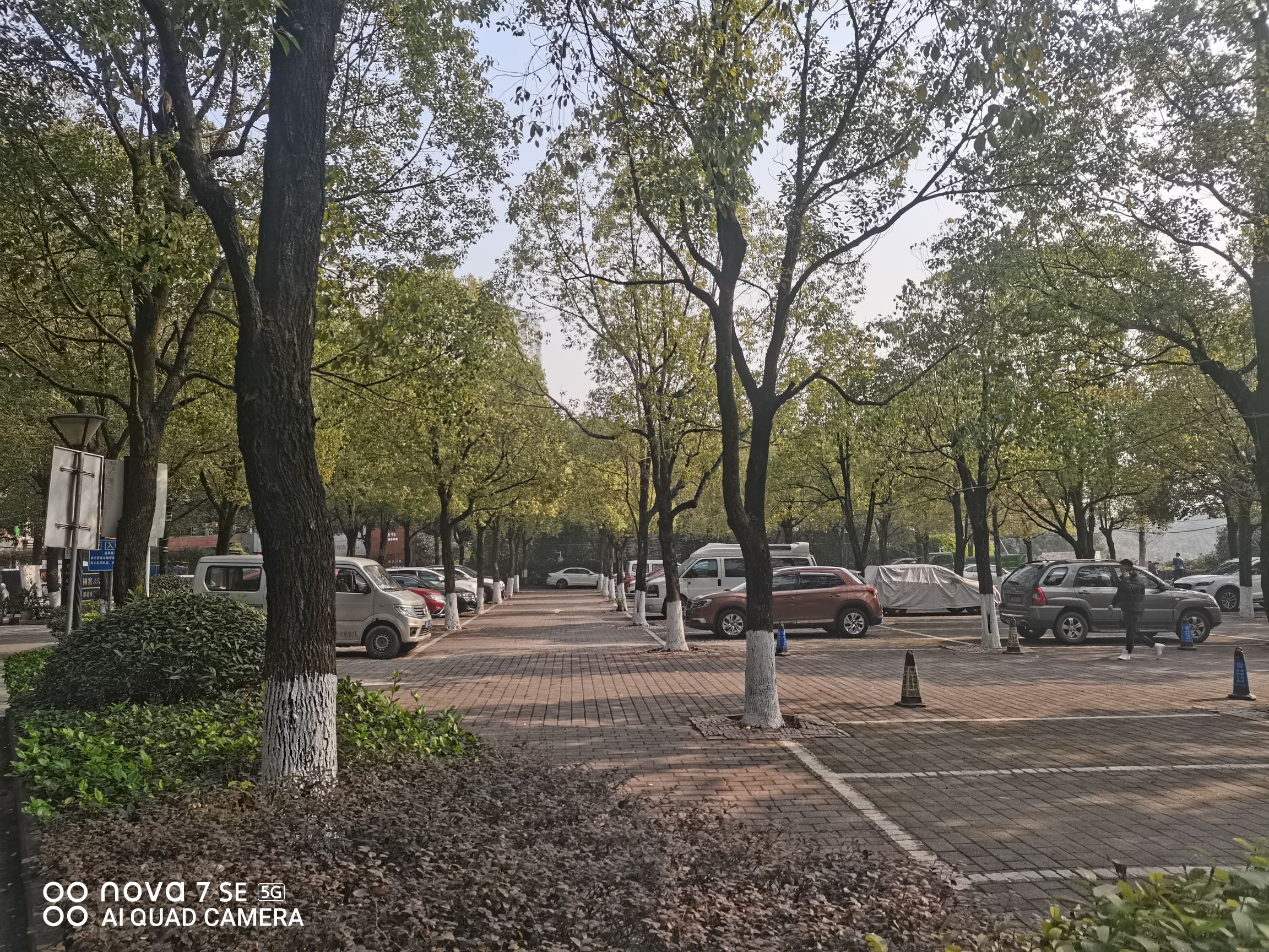 火凤山生态公园旅行图片 1