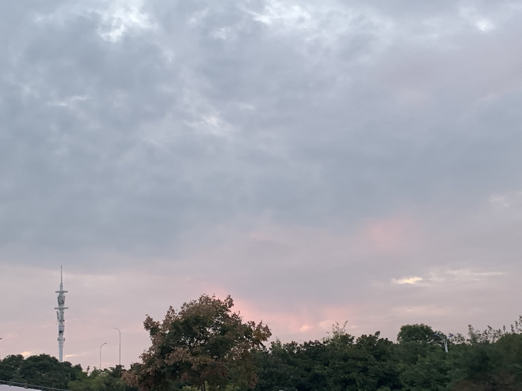 丽都公园旅行图片 2